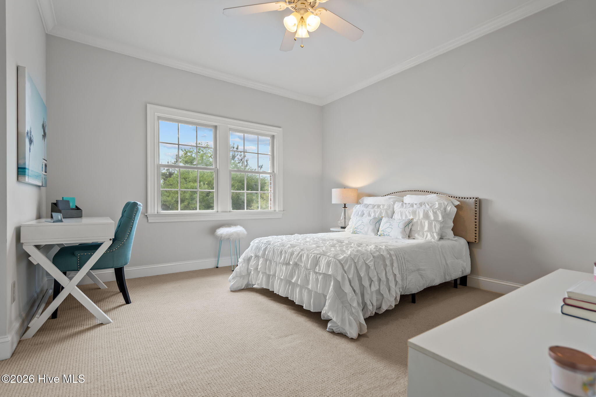 100563251 | Photo 26