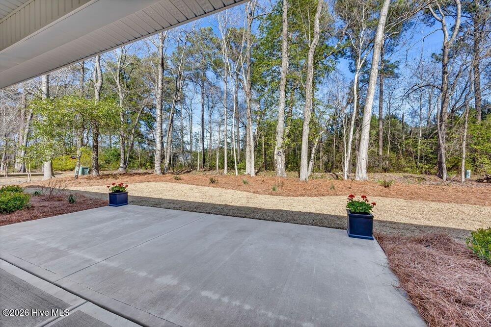 100559132 | Photo 29