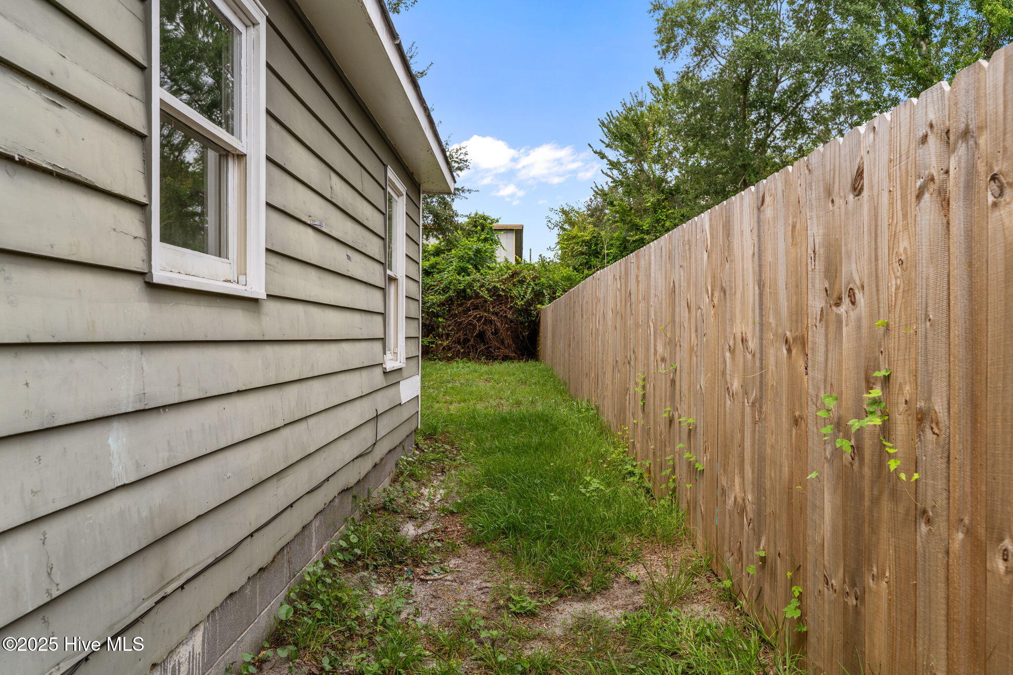 100528718 | Photo 30