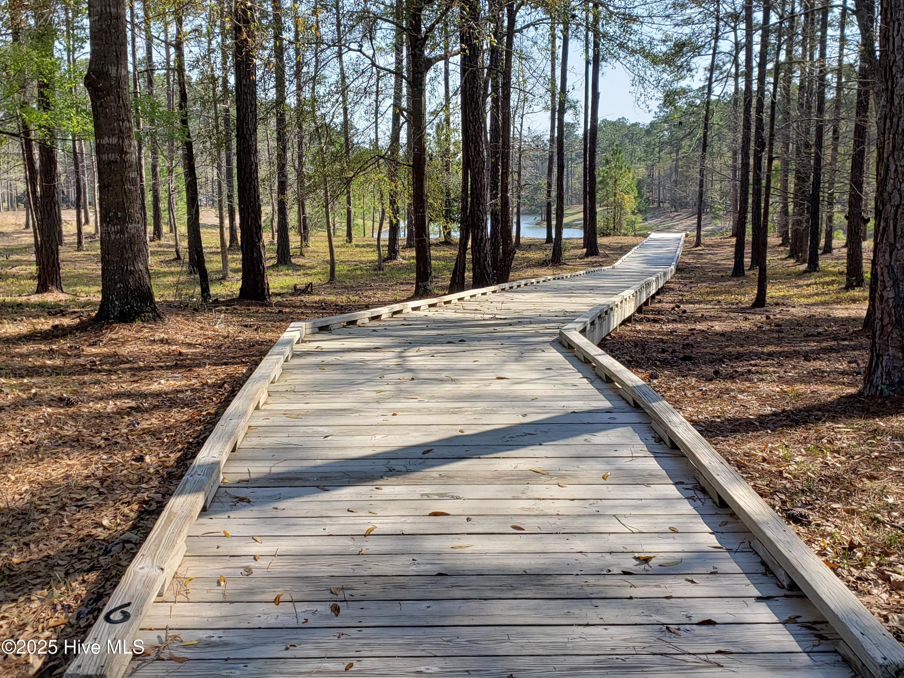 100538167 | Photo 53