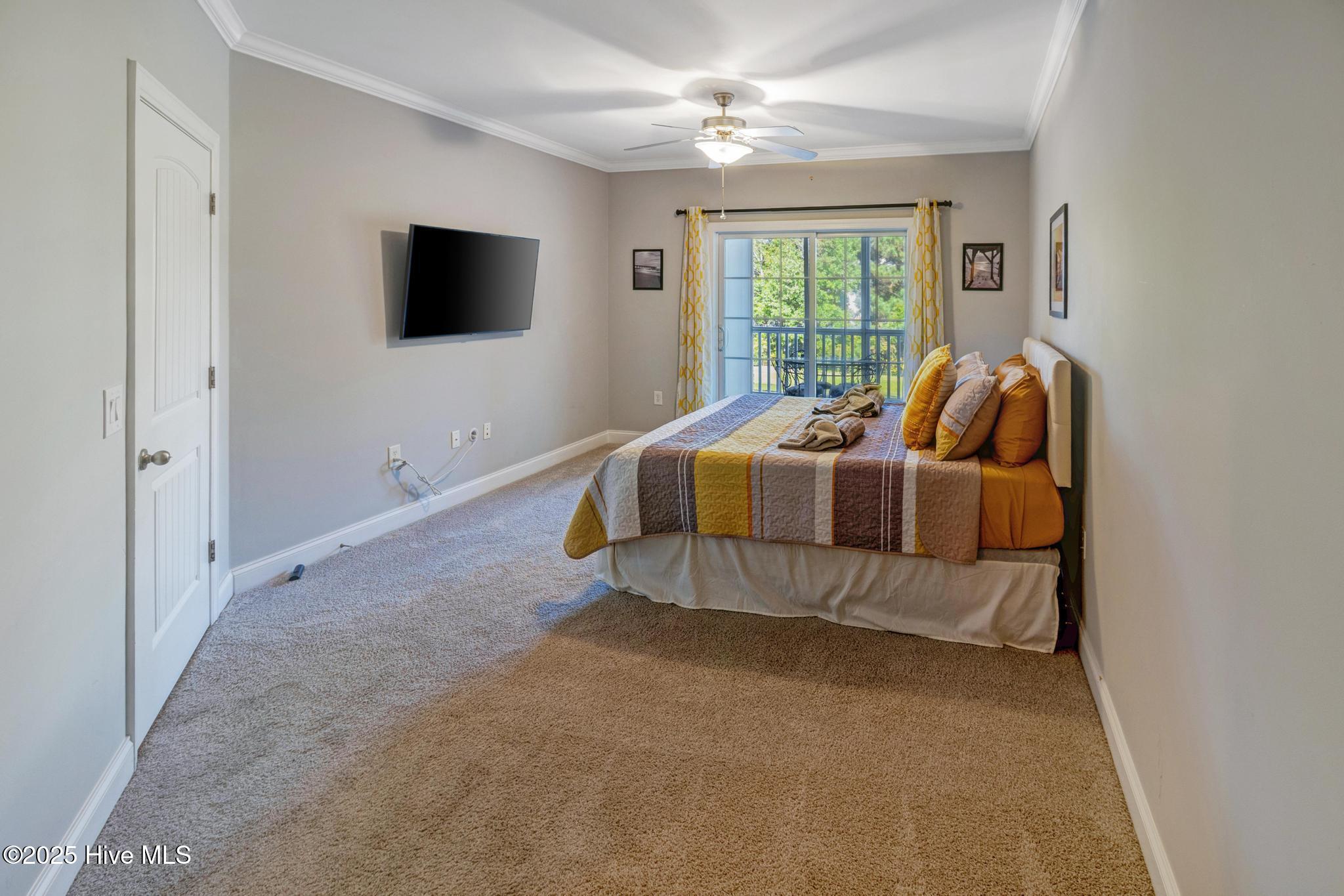 100534929 | Photo 31