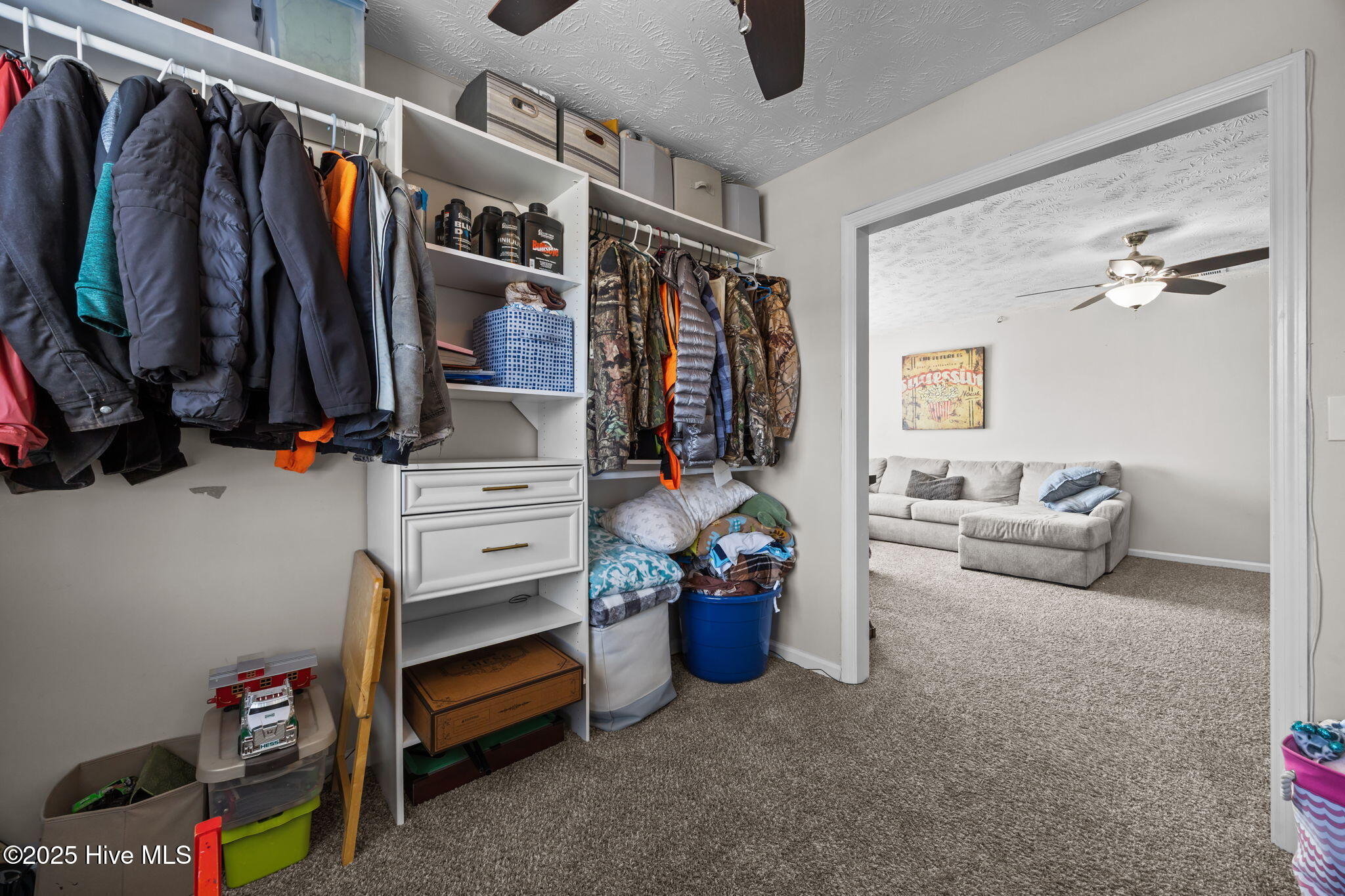 100538384 | Photo 15