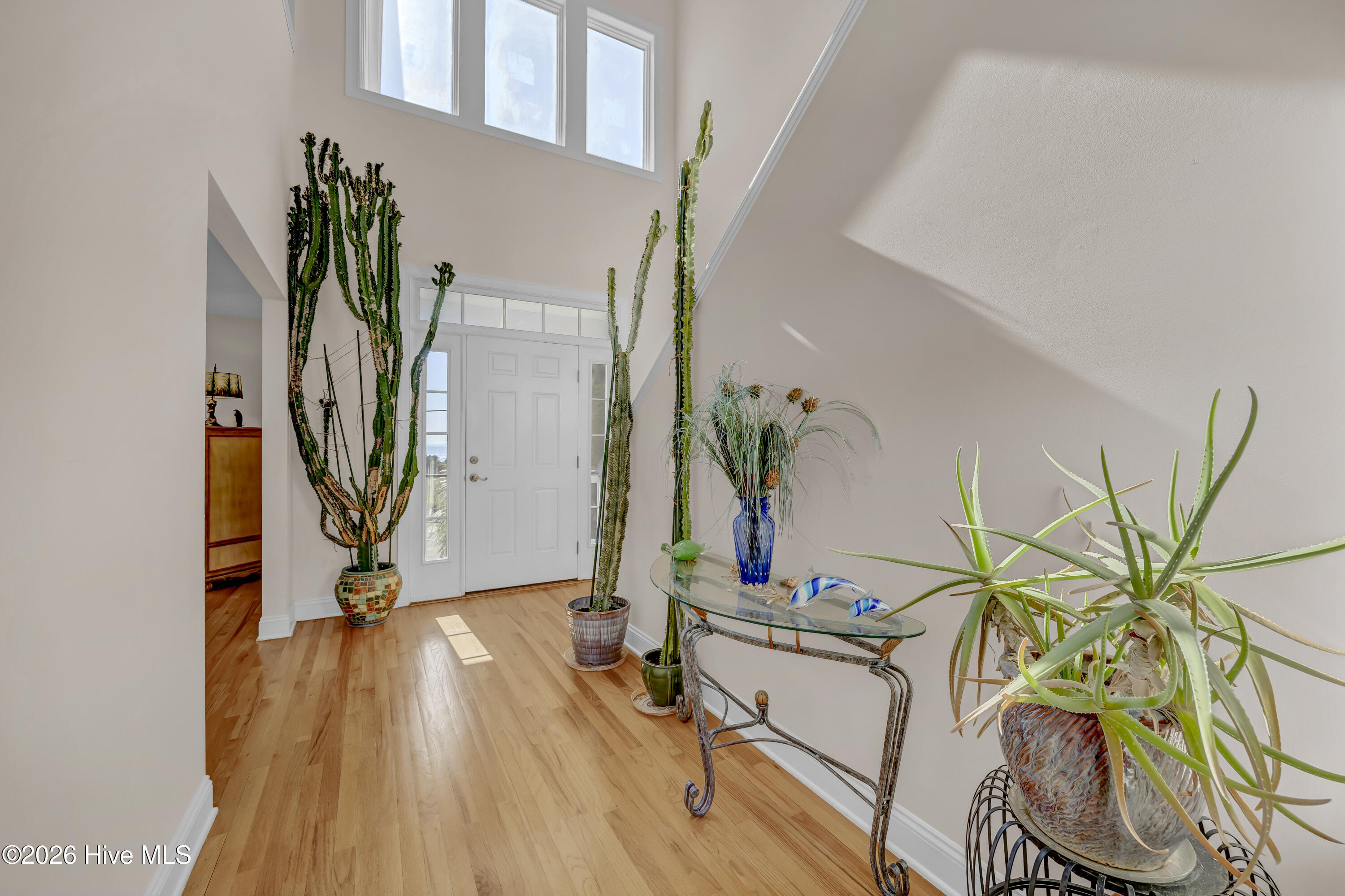 100560542 | Photo 14