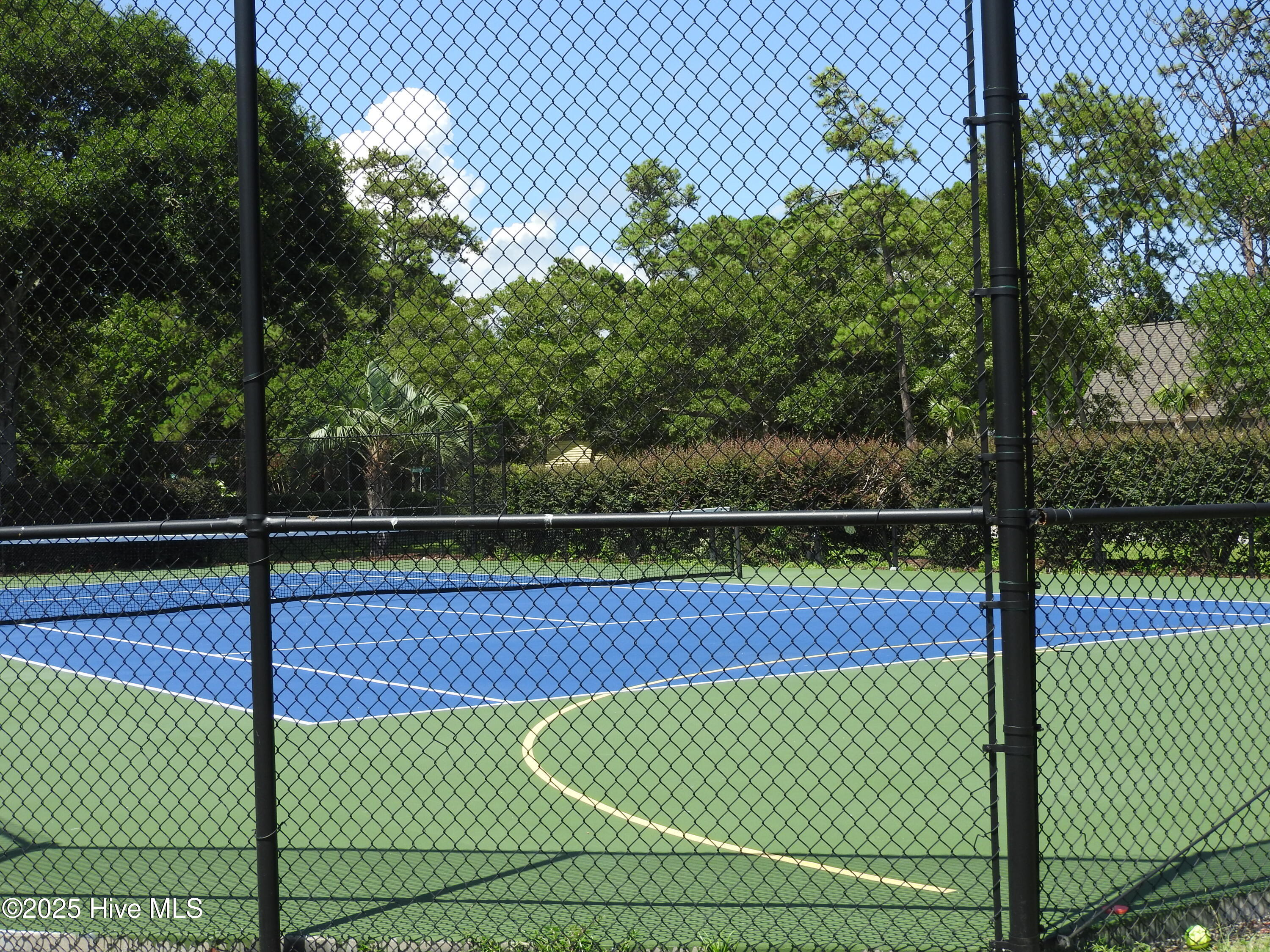 100520083 | Photo 43