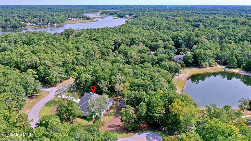 100499257 | Photo 66