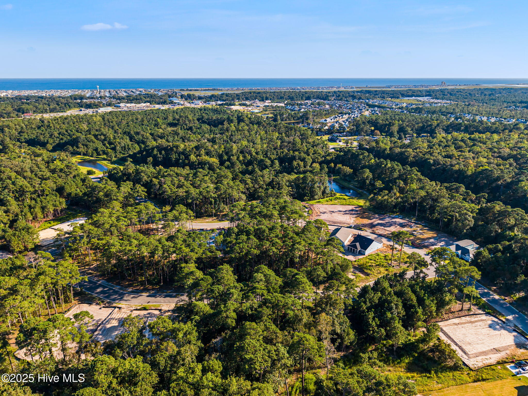 100529223 | Photo 11