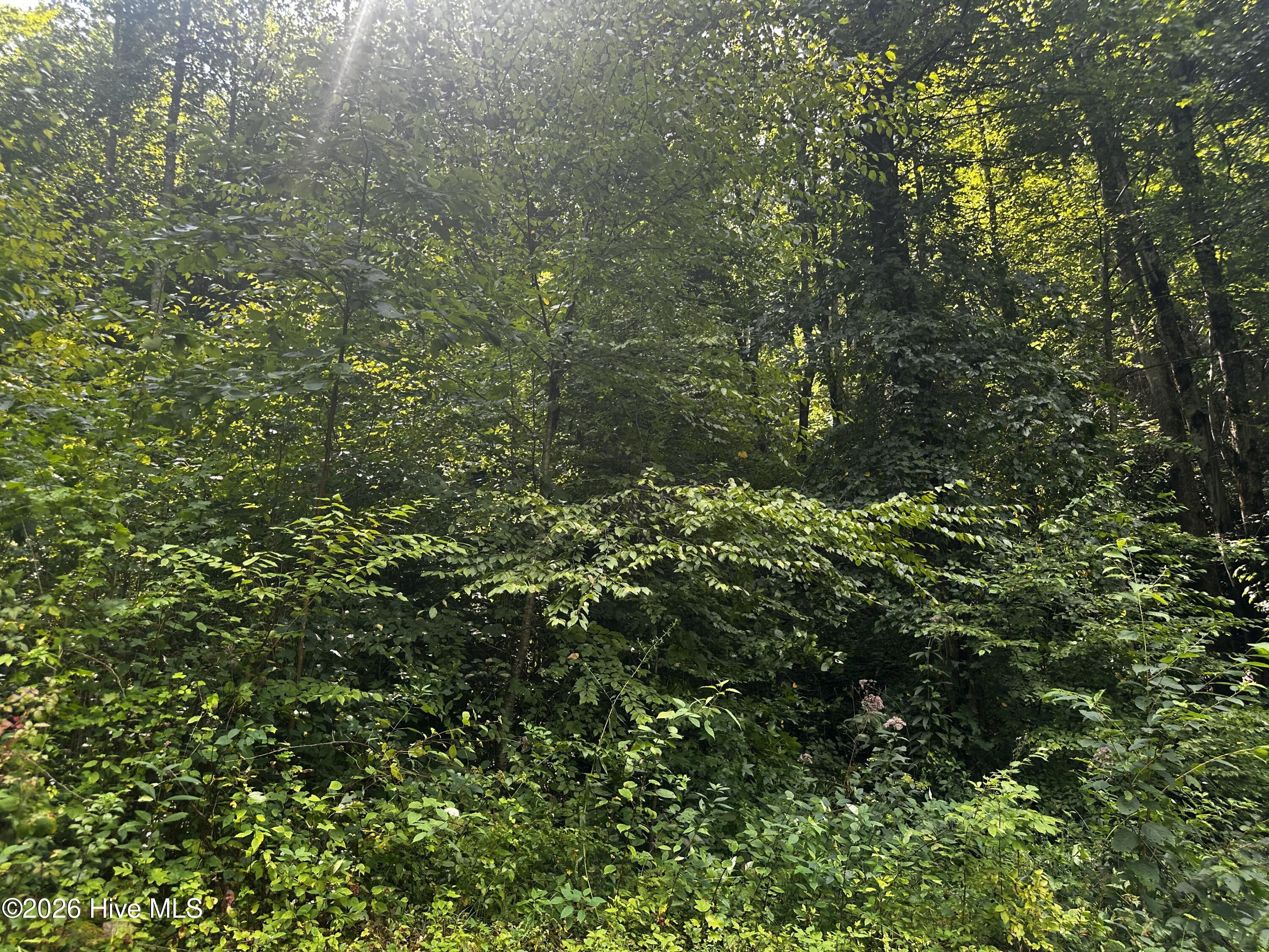 7th image of 2710 Junaluska Rd, Andrews, NC 28901 | MLS# 100598764