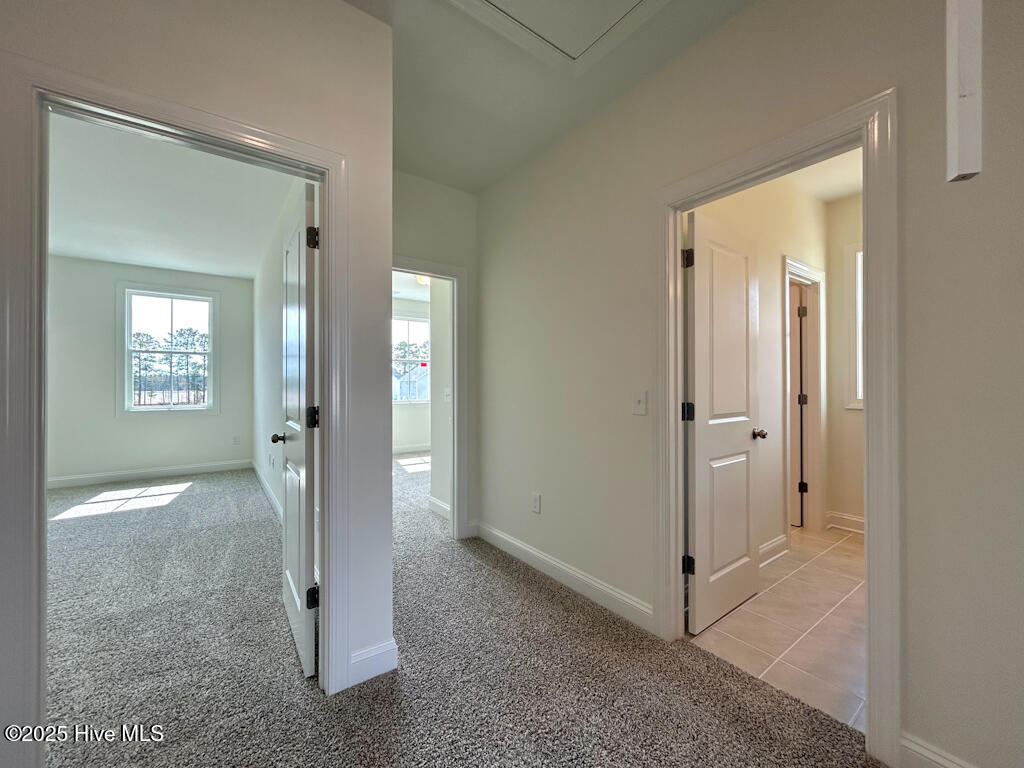 100479294 | Photo 53