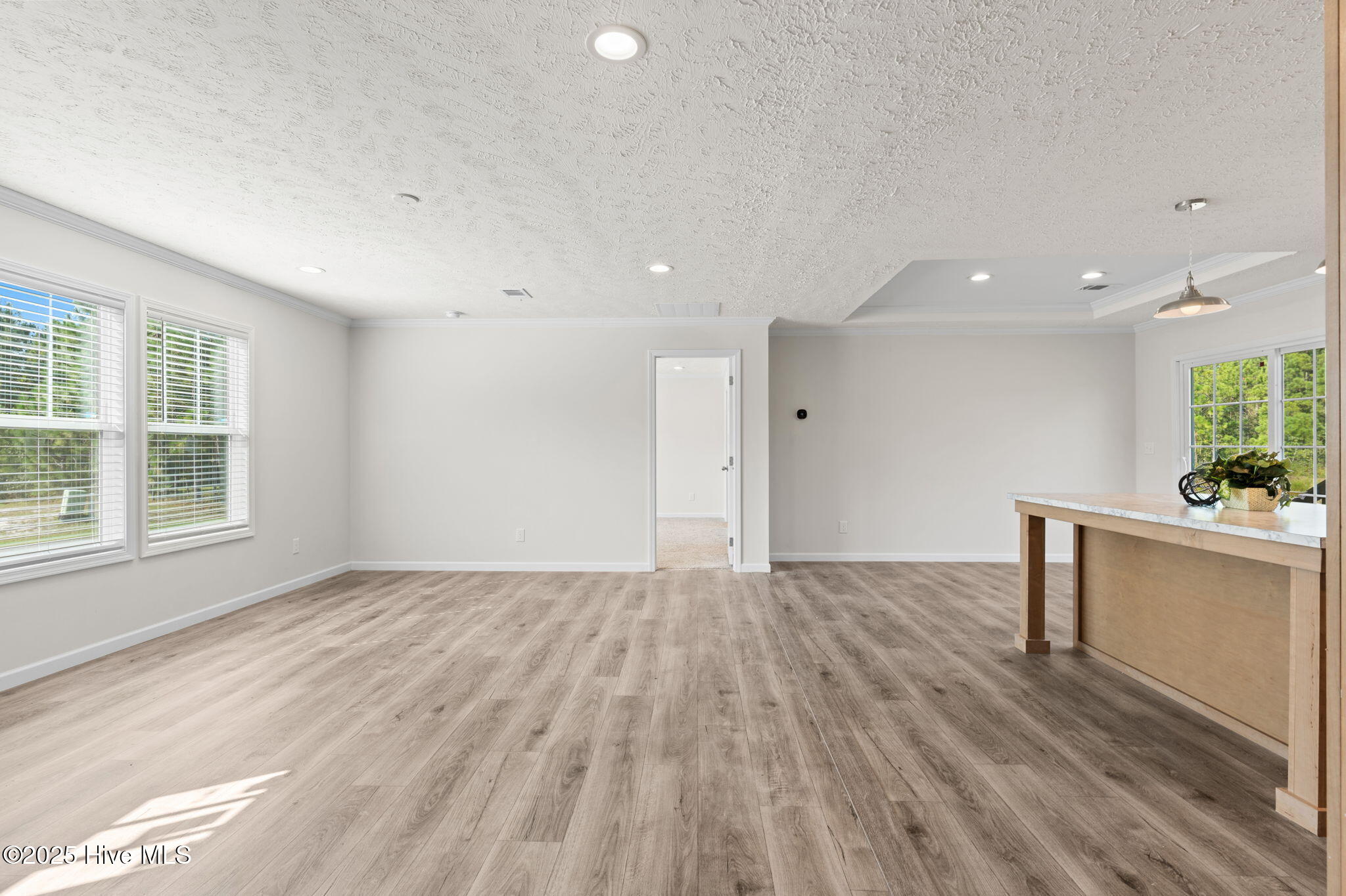 100558290 | Photo 10