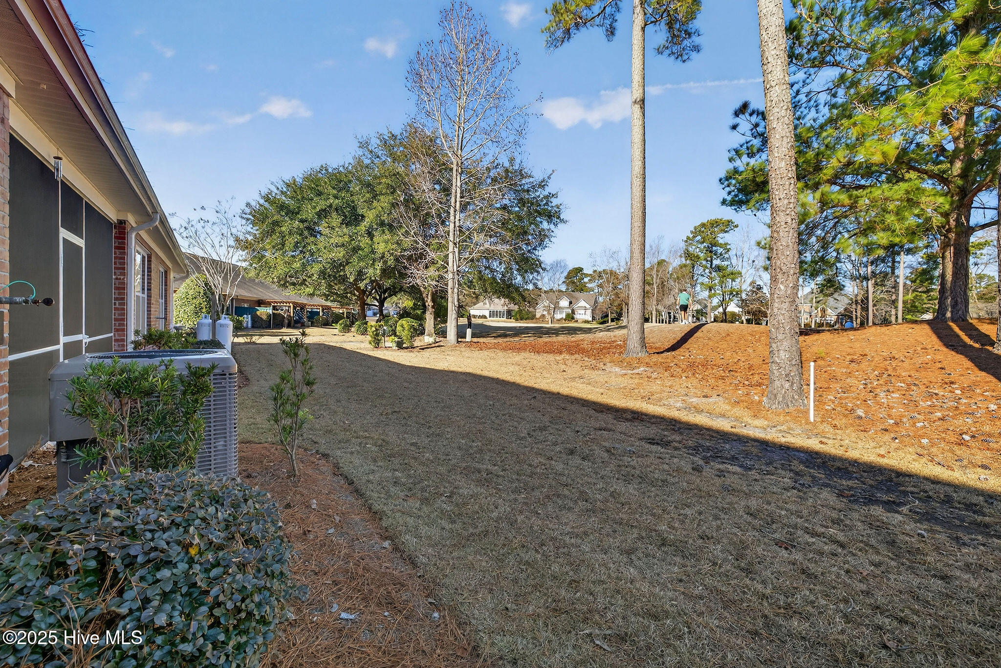 100547187 | Photo 32