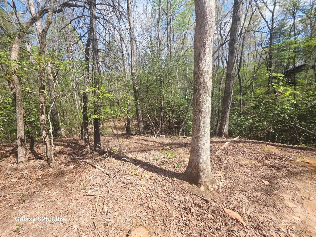 369 Nottley River Road, Murphy, NC 28906 Listing Photo  10