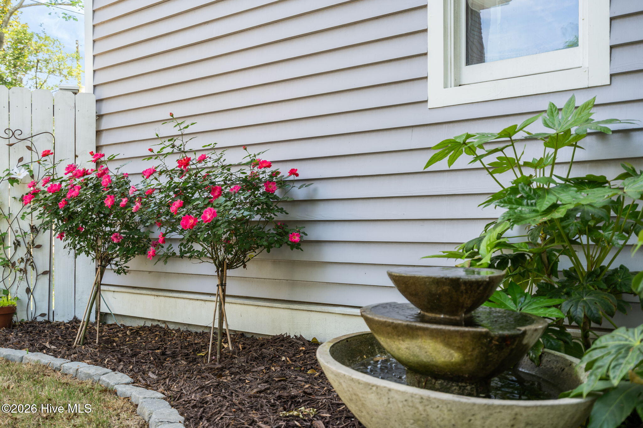 100566277 | Photo 62