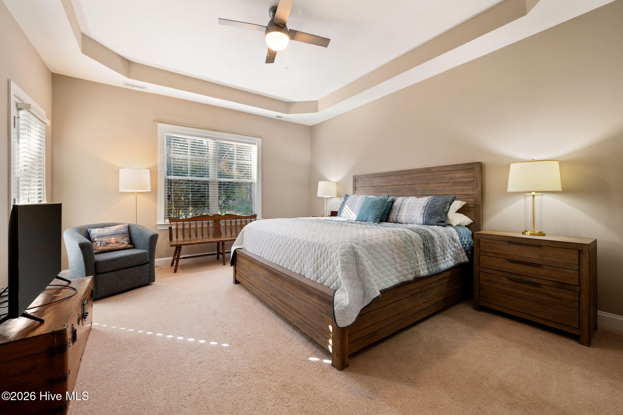 100558901 | Photo 16