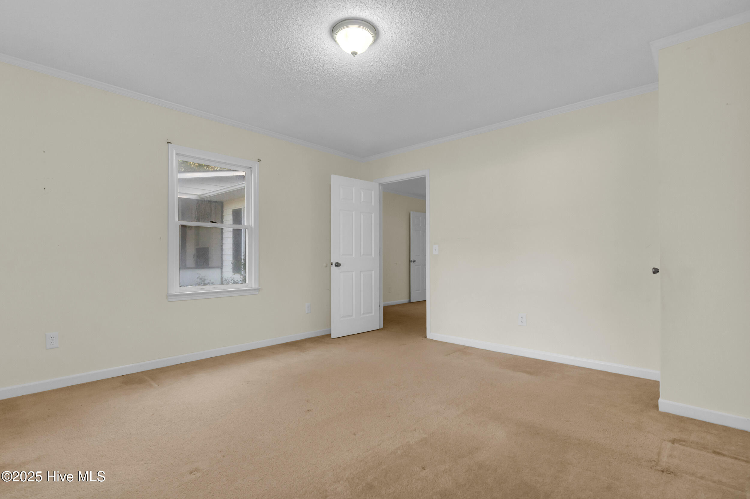 100537438 | Photo 19