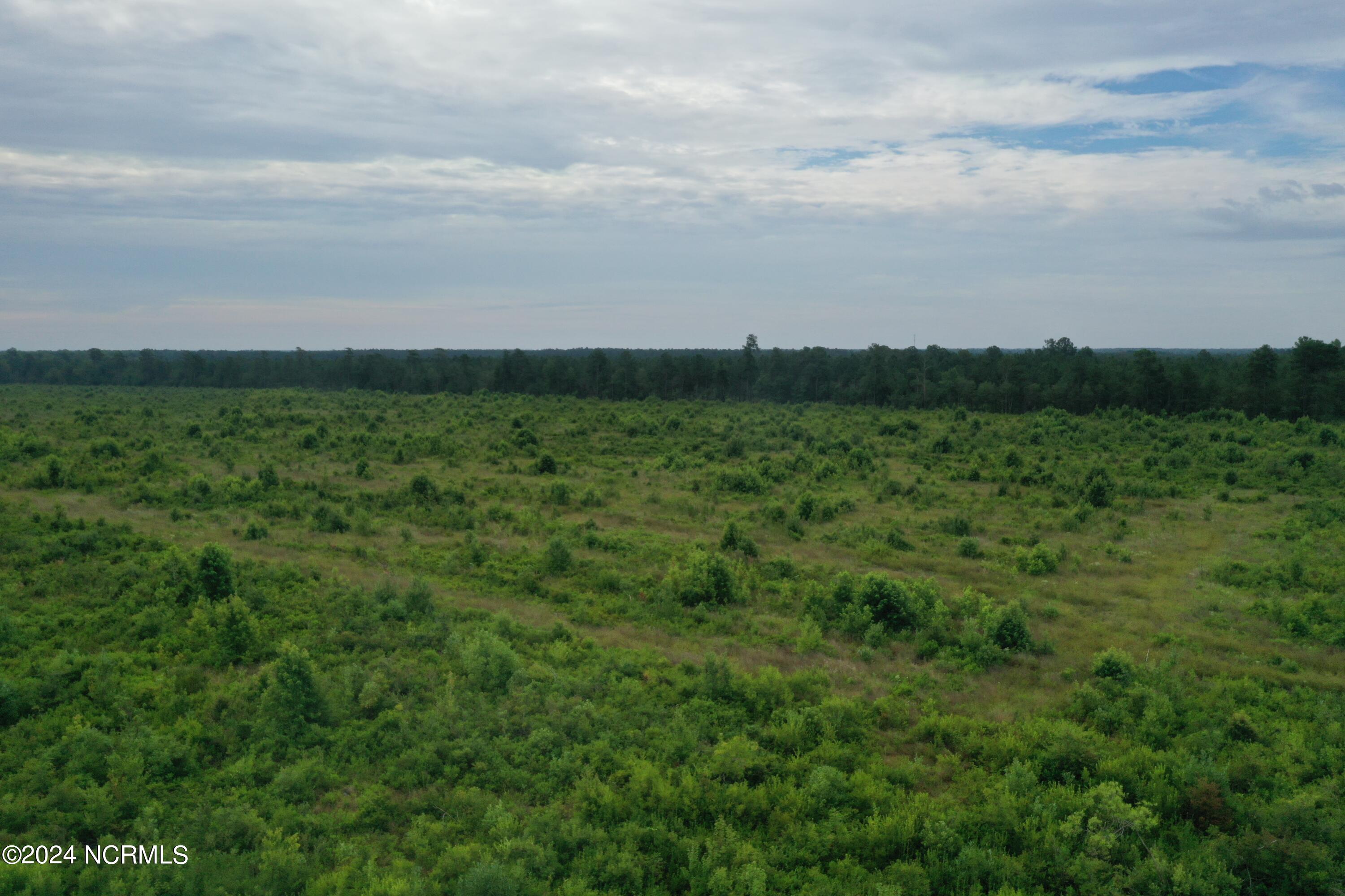 3506 Whitehall Road, Whiteville, NC, 28472