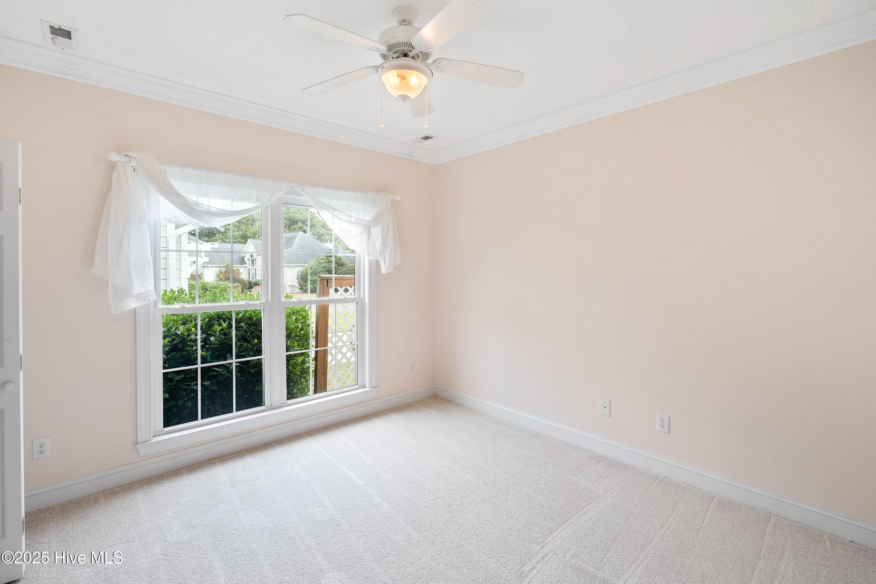 100499709 | Photo 43