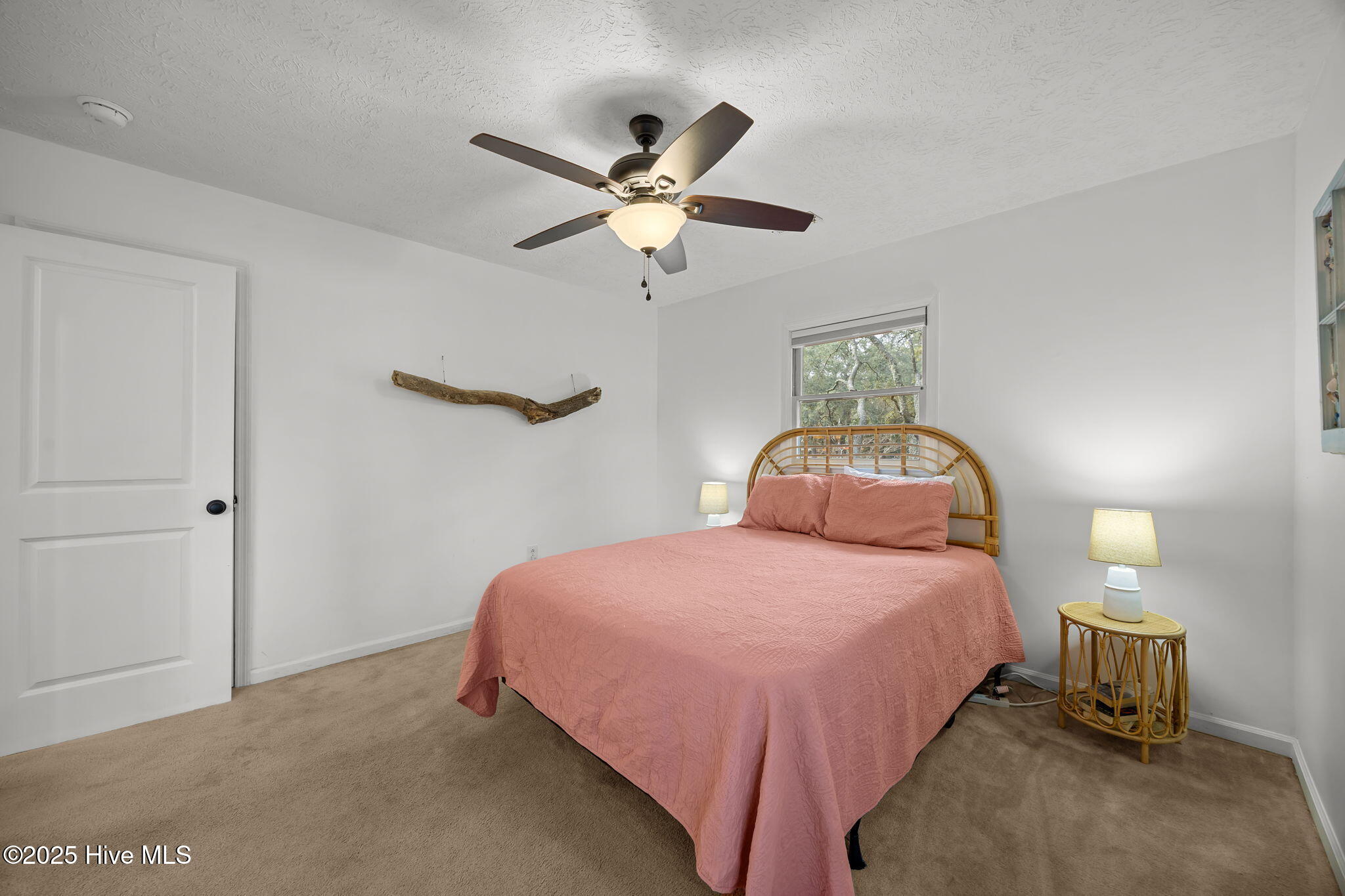 100522613 | Photo 12