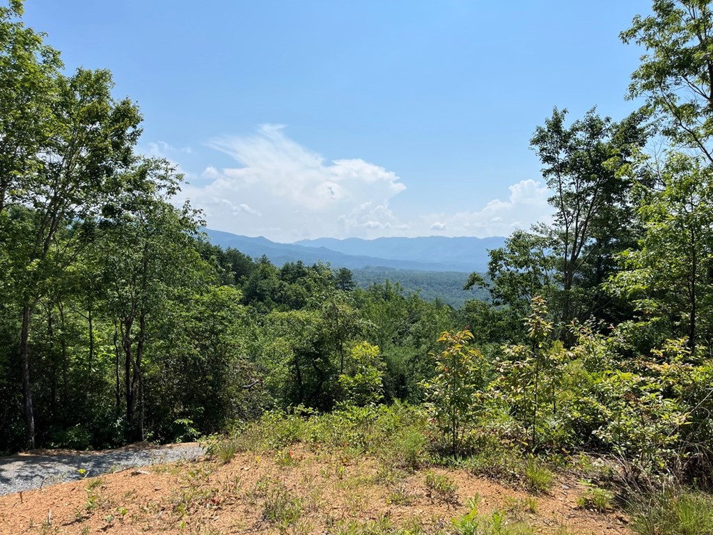 Exterior photo of 501 Clifftop Trail, Andrews, NC 28901. MLS: 98524254