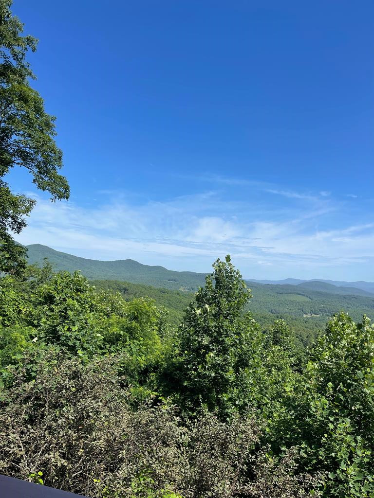 1013 Buck Ridge Drive, Murphy, NC 28906 Listing Photo  43