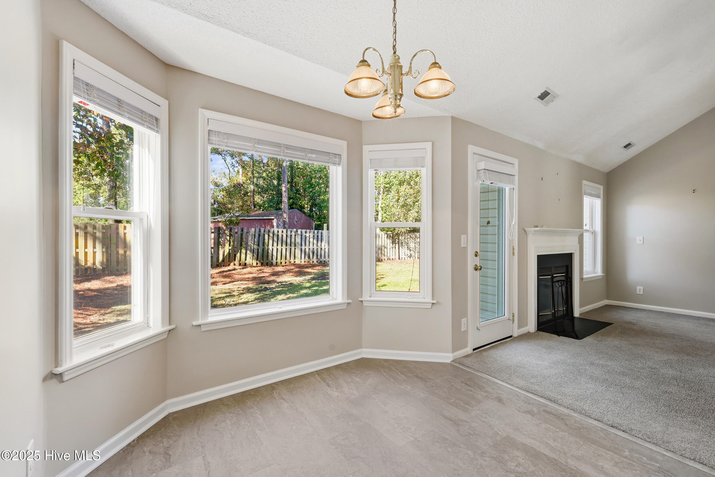 100540113 | Photo 13