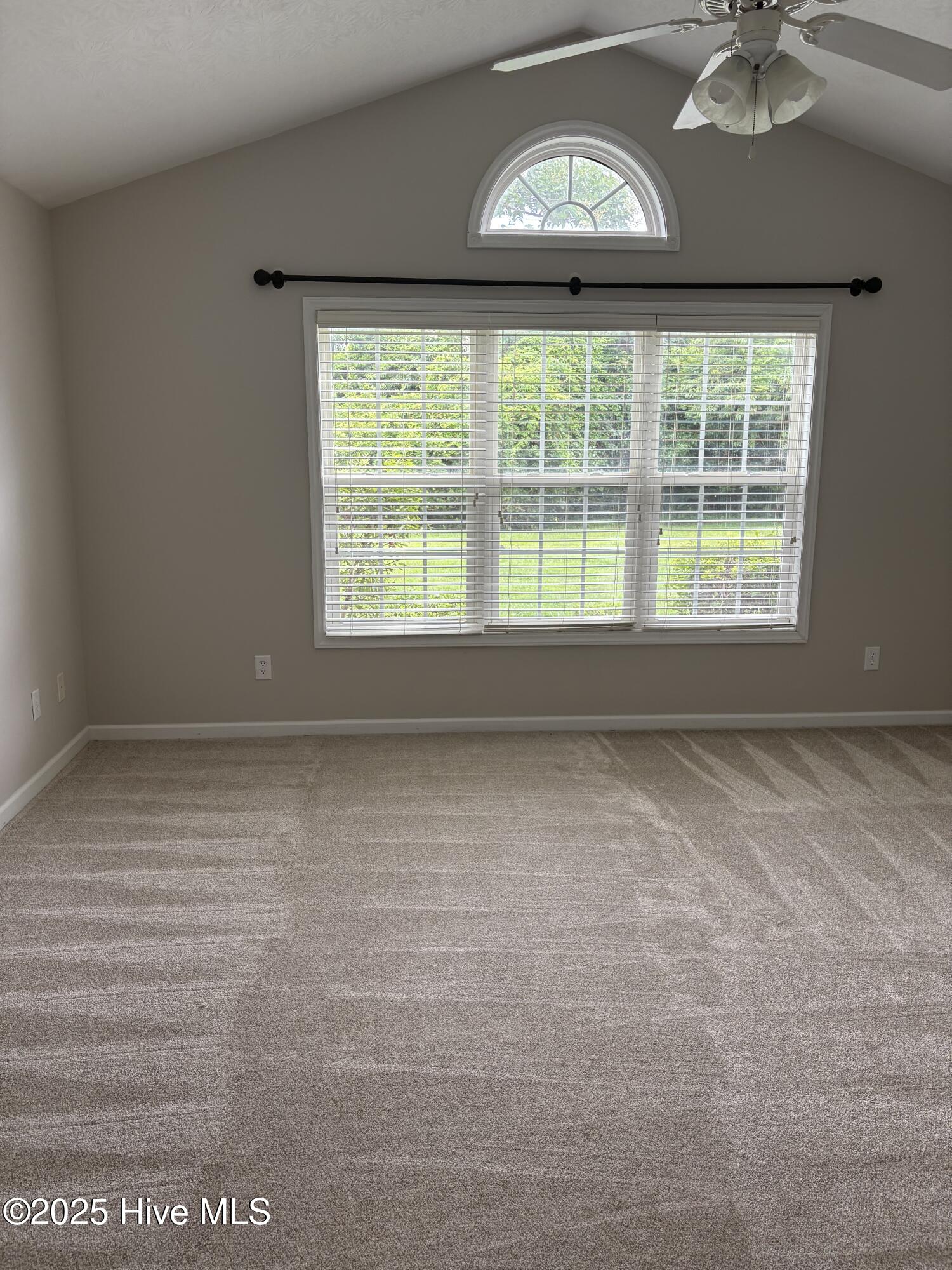 100560498 | Photo 18