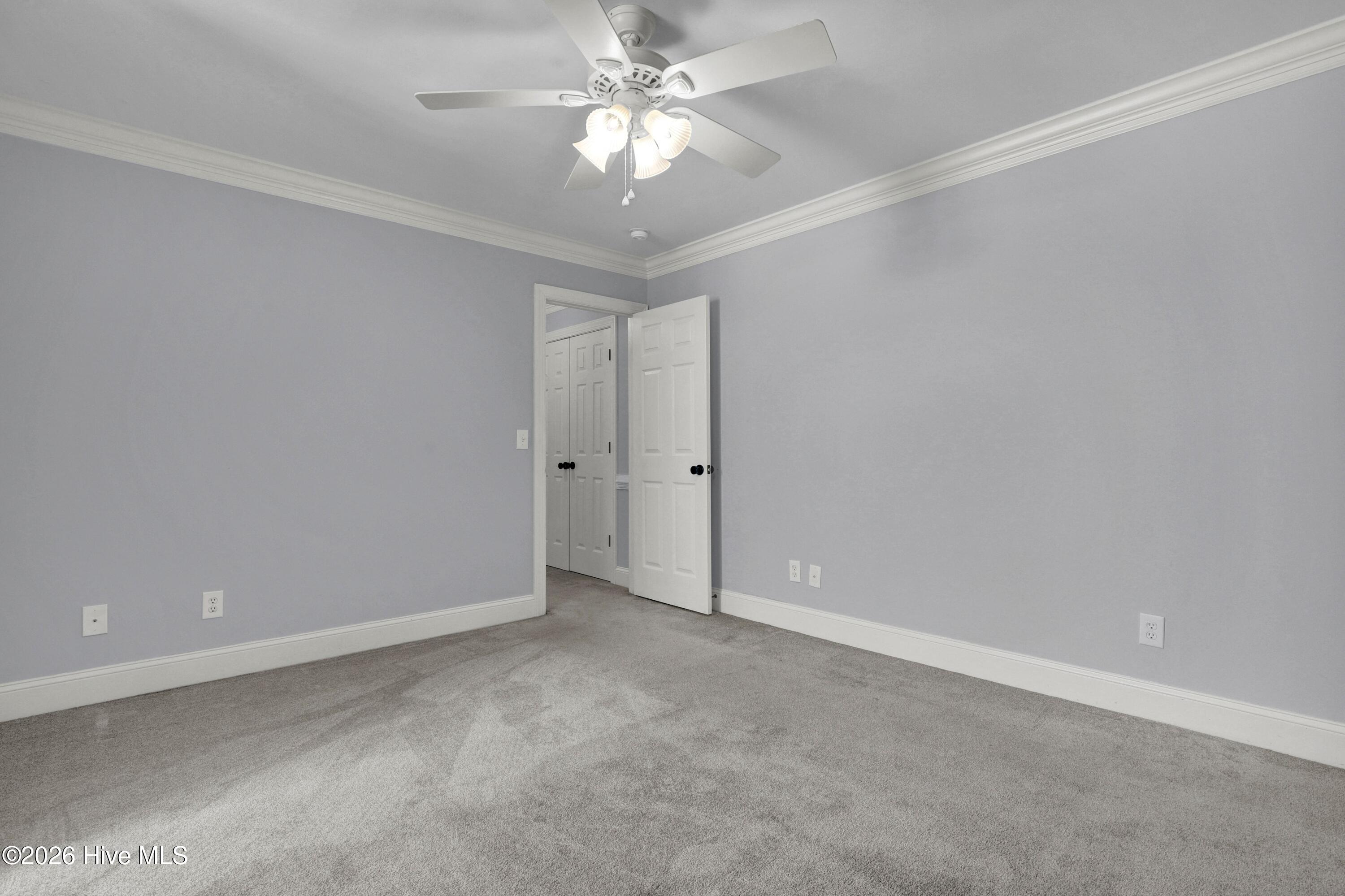 100489094 | Photo 29