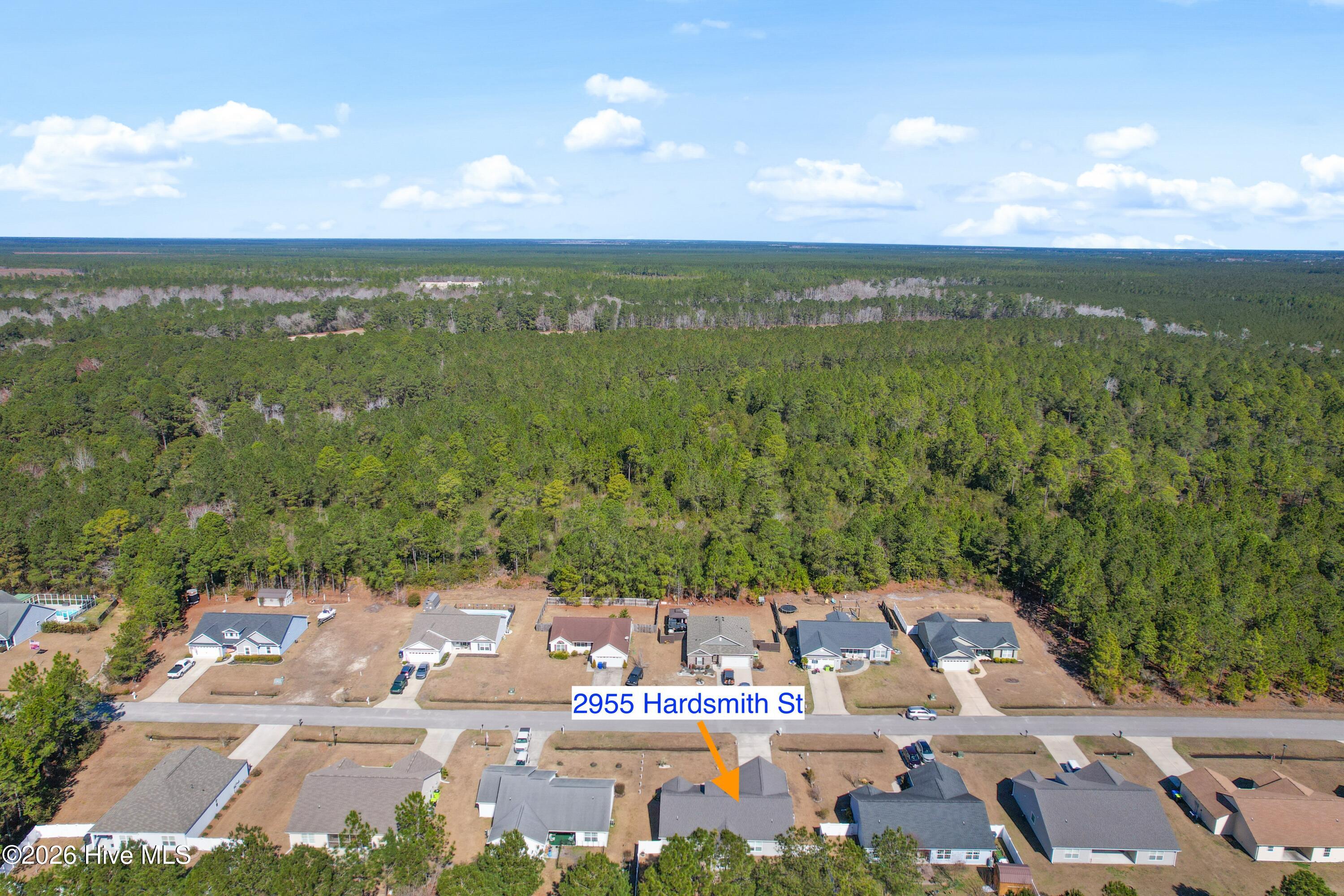 100556546 | Photo 42