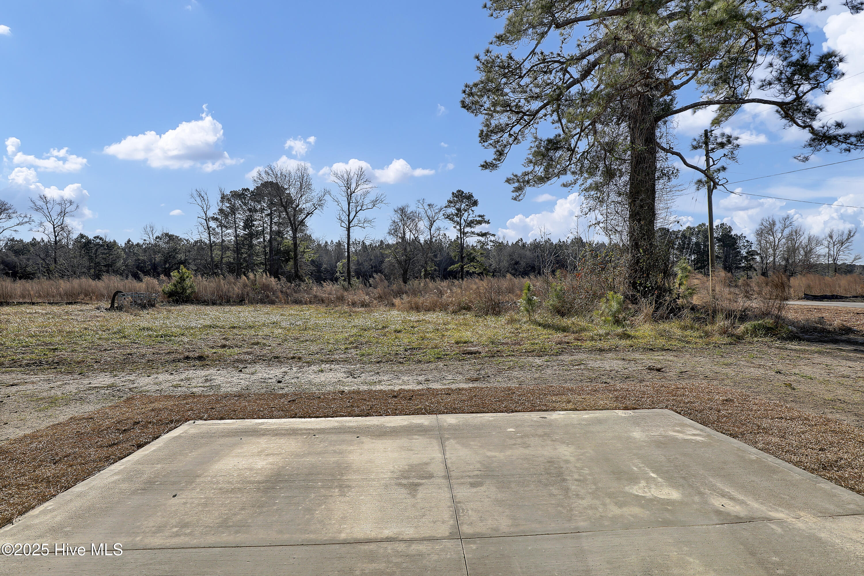 100461654 | Photo 32