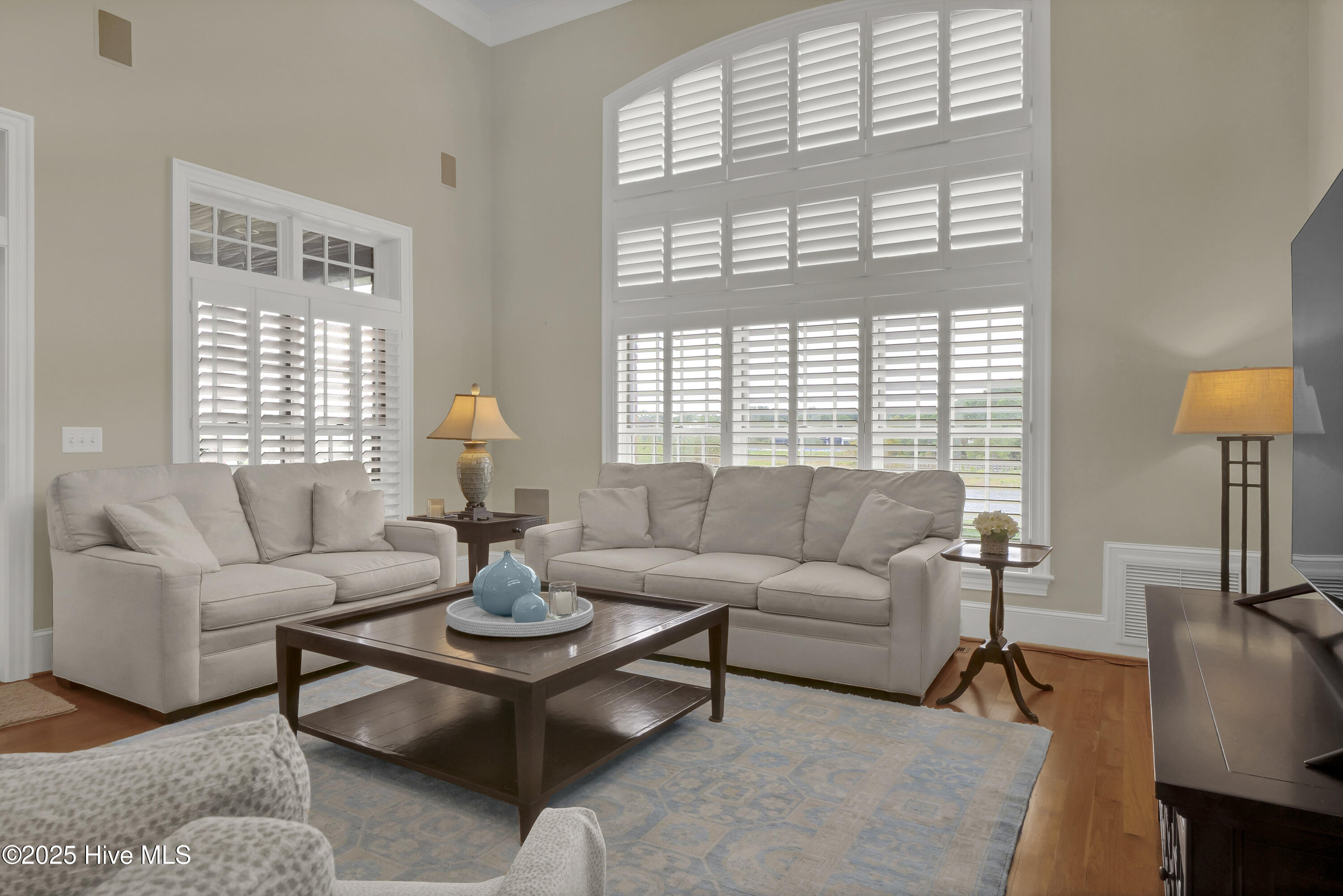 100555376 | Photo 18