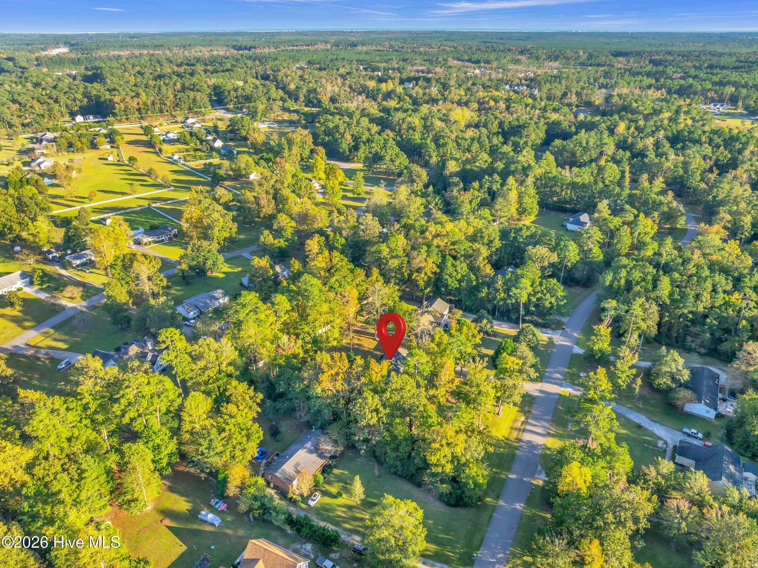 100562256 | Photo 53