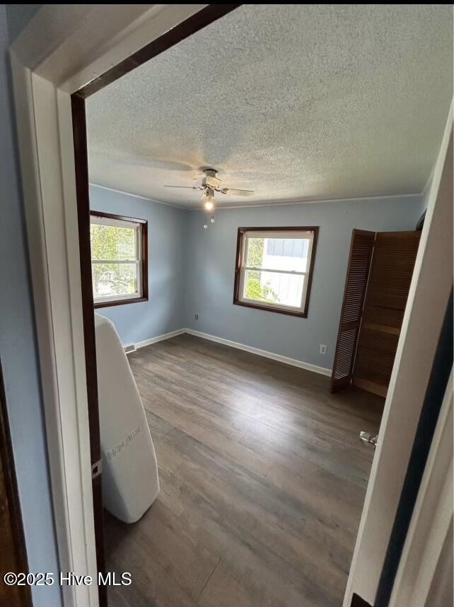 100525012 | Photo 12