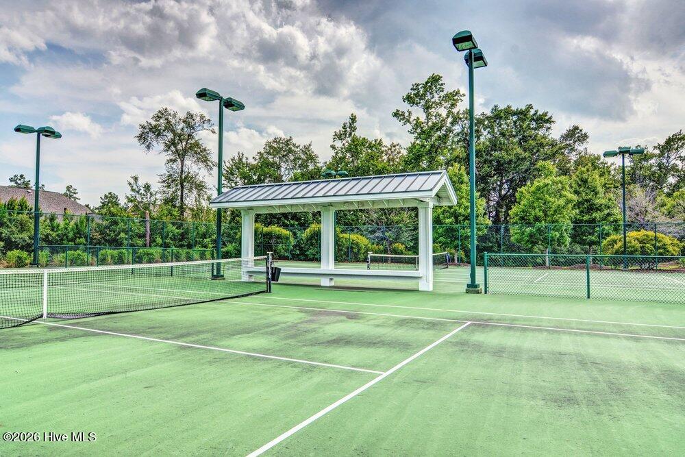 100564119 | Photo 74