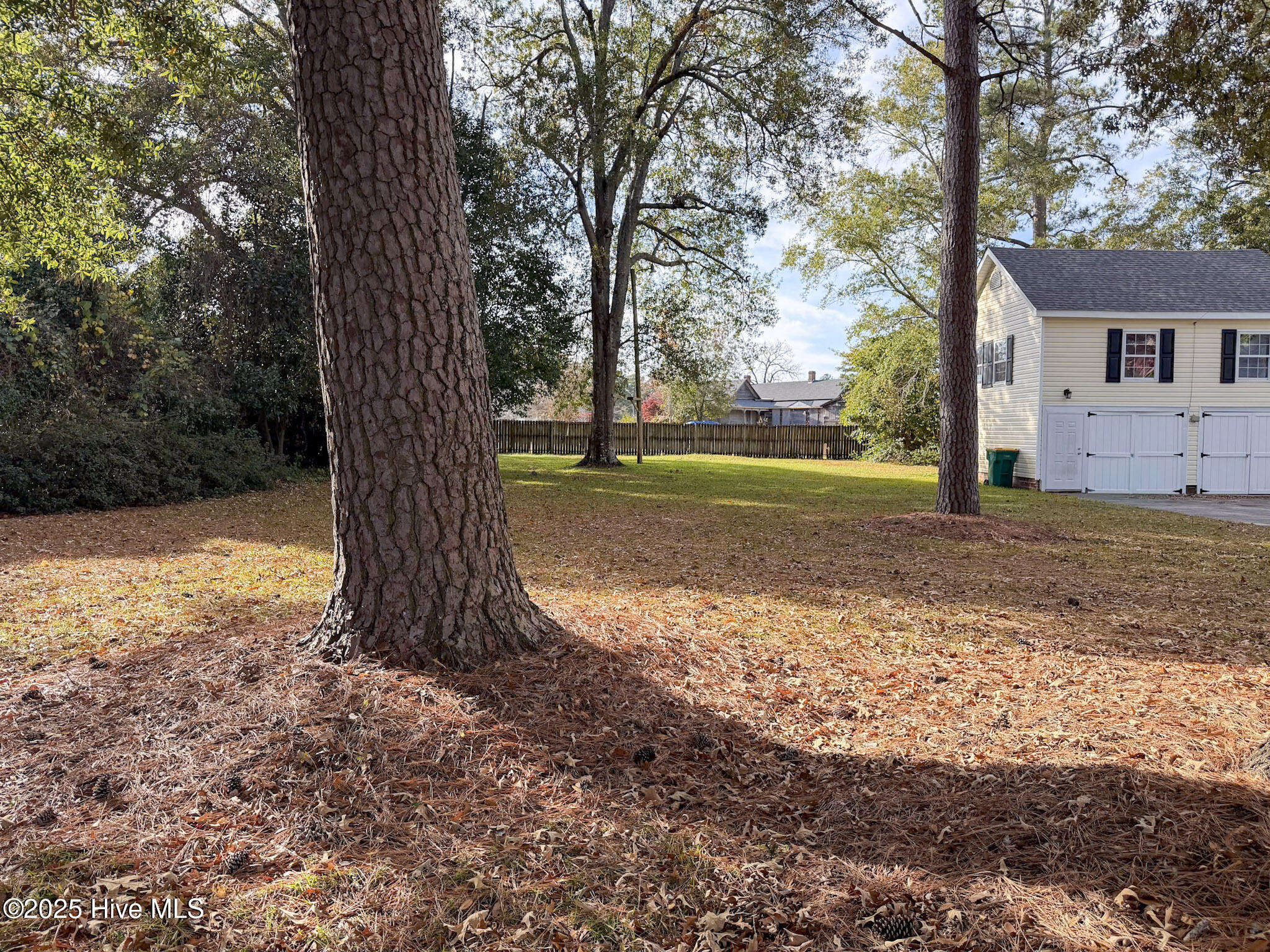 100542160 | Photo 21