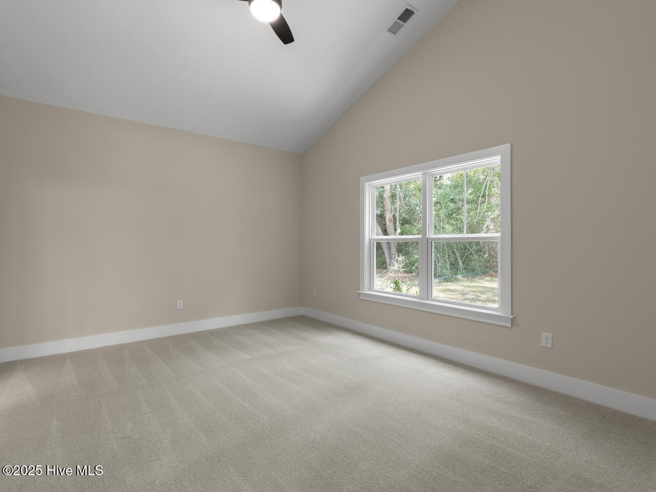 100515961 | Photo 24