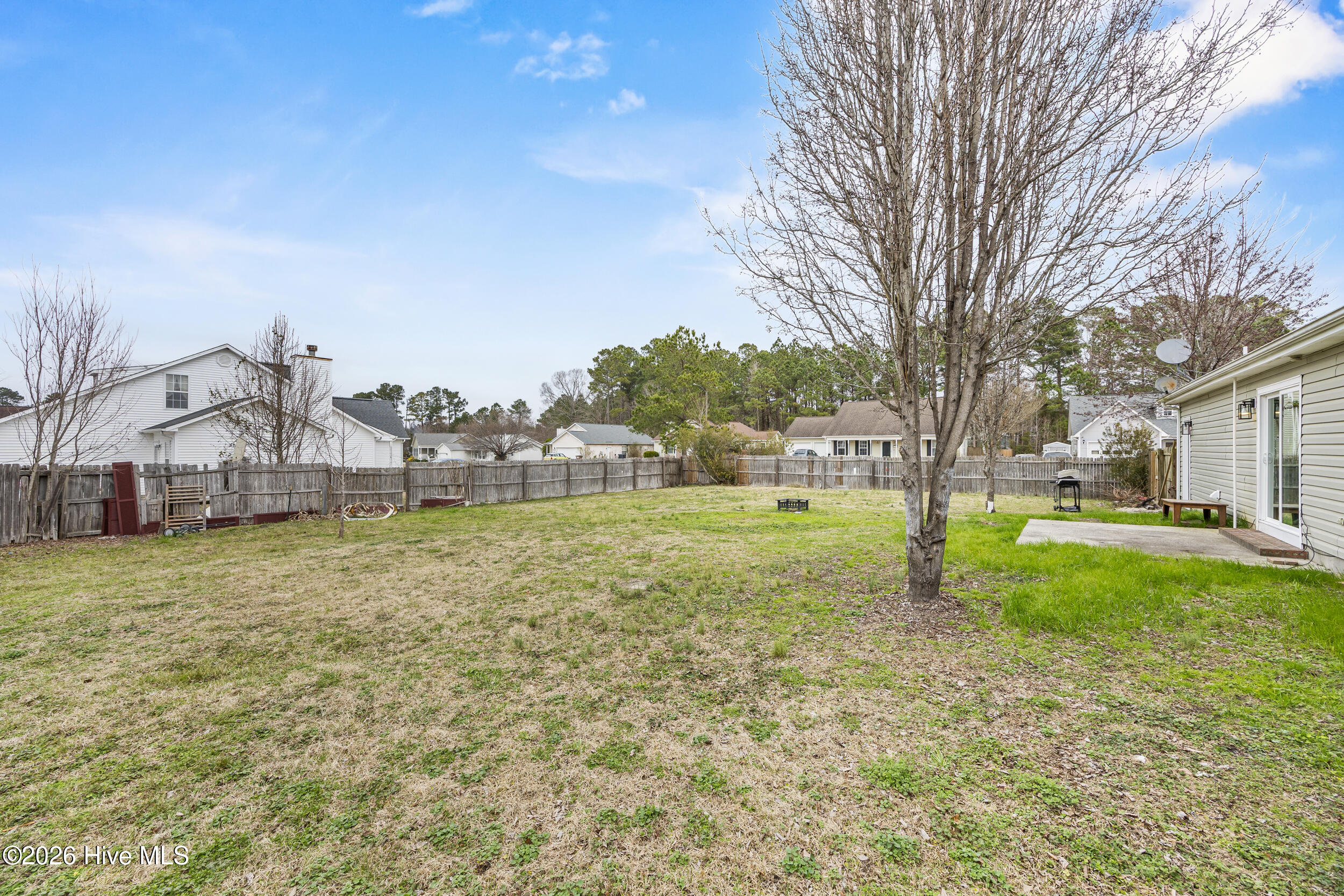 100557892 | Photo 36