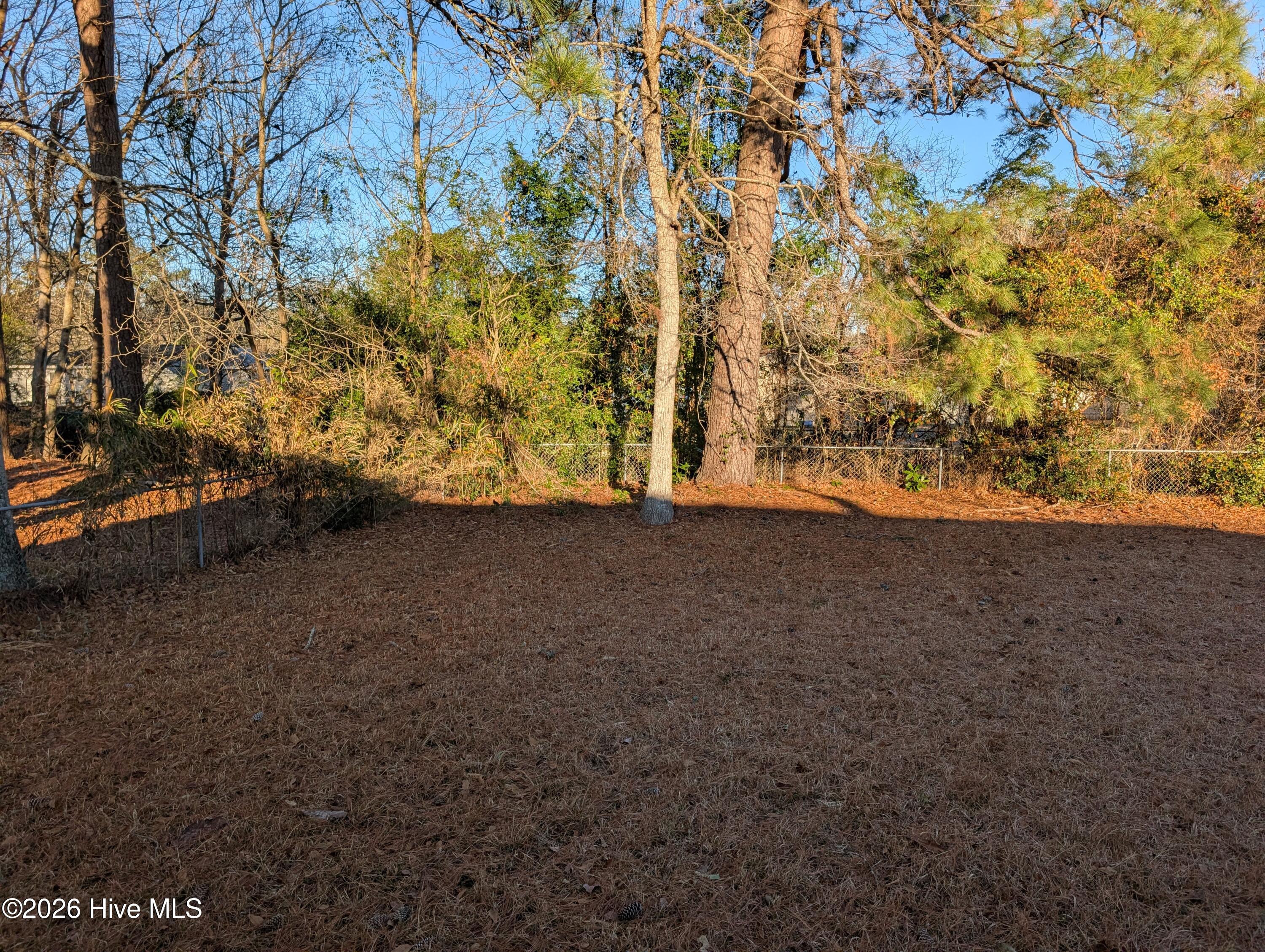 100548942 | Photo 23