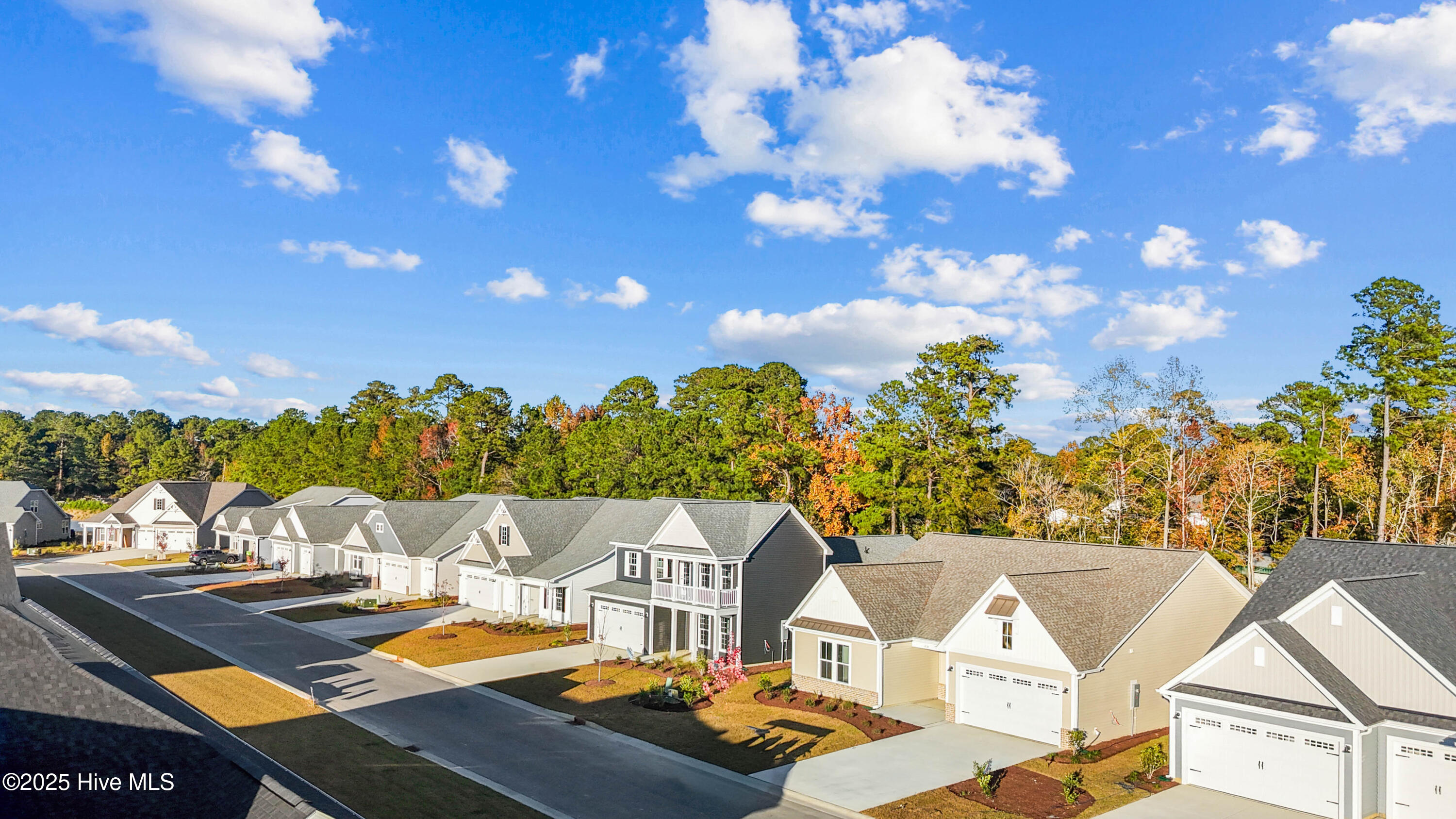 100506934 | Photo 23