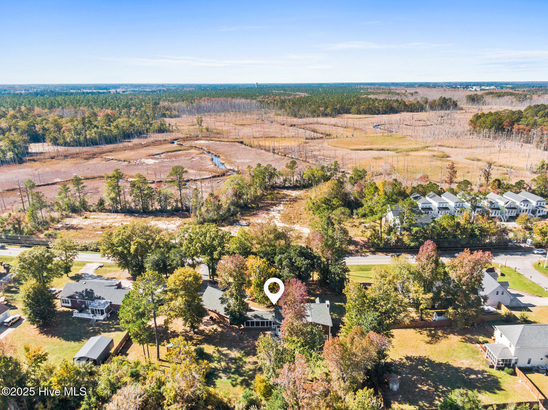 100542289 | Photo 55