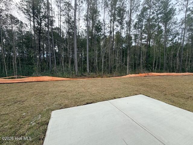 100561123 | Photo 32