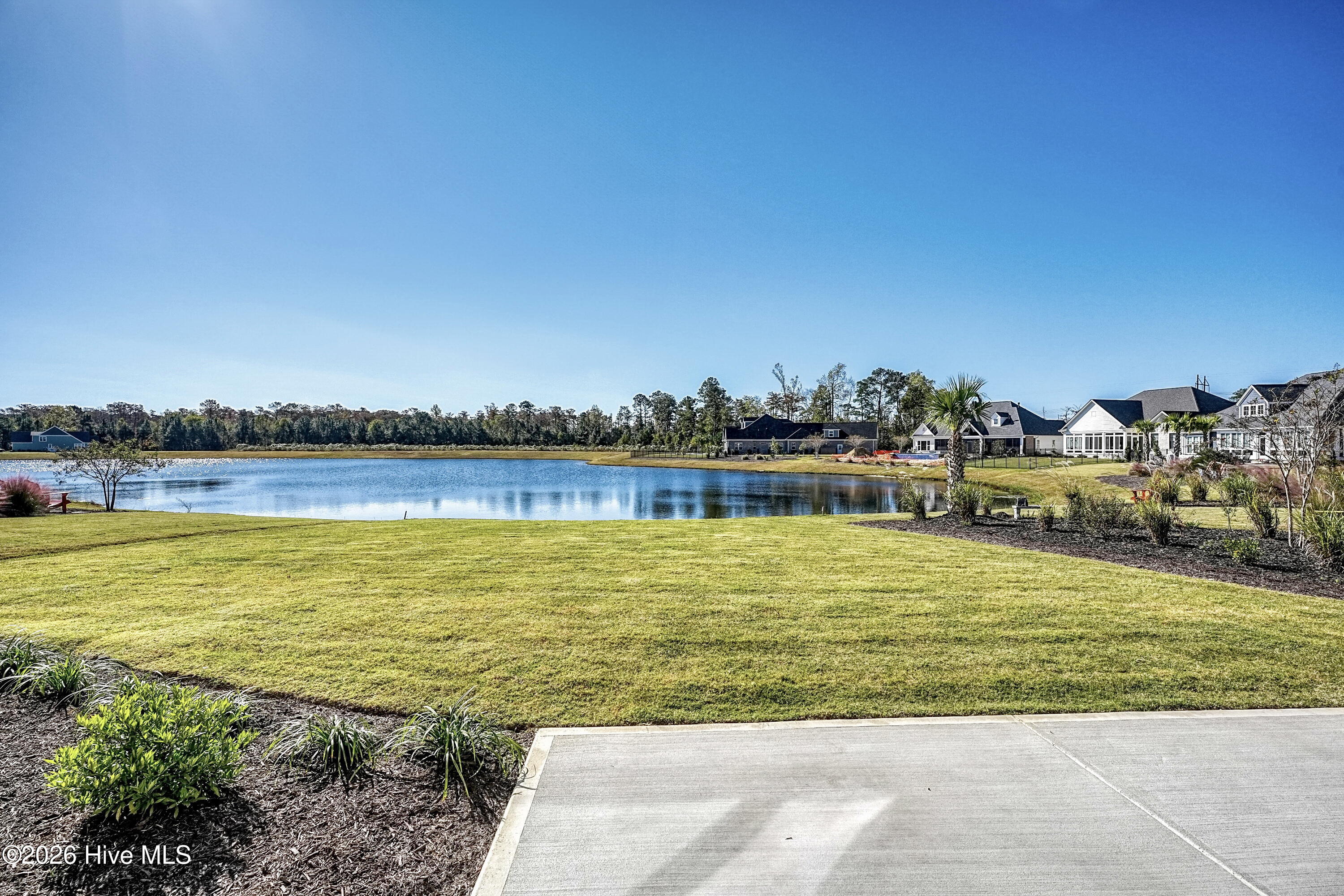 100564282 | Photo 38