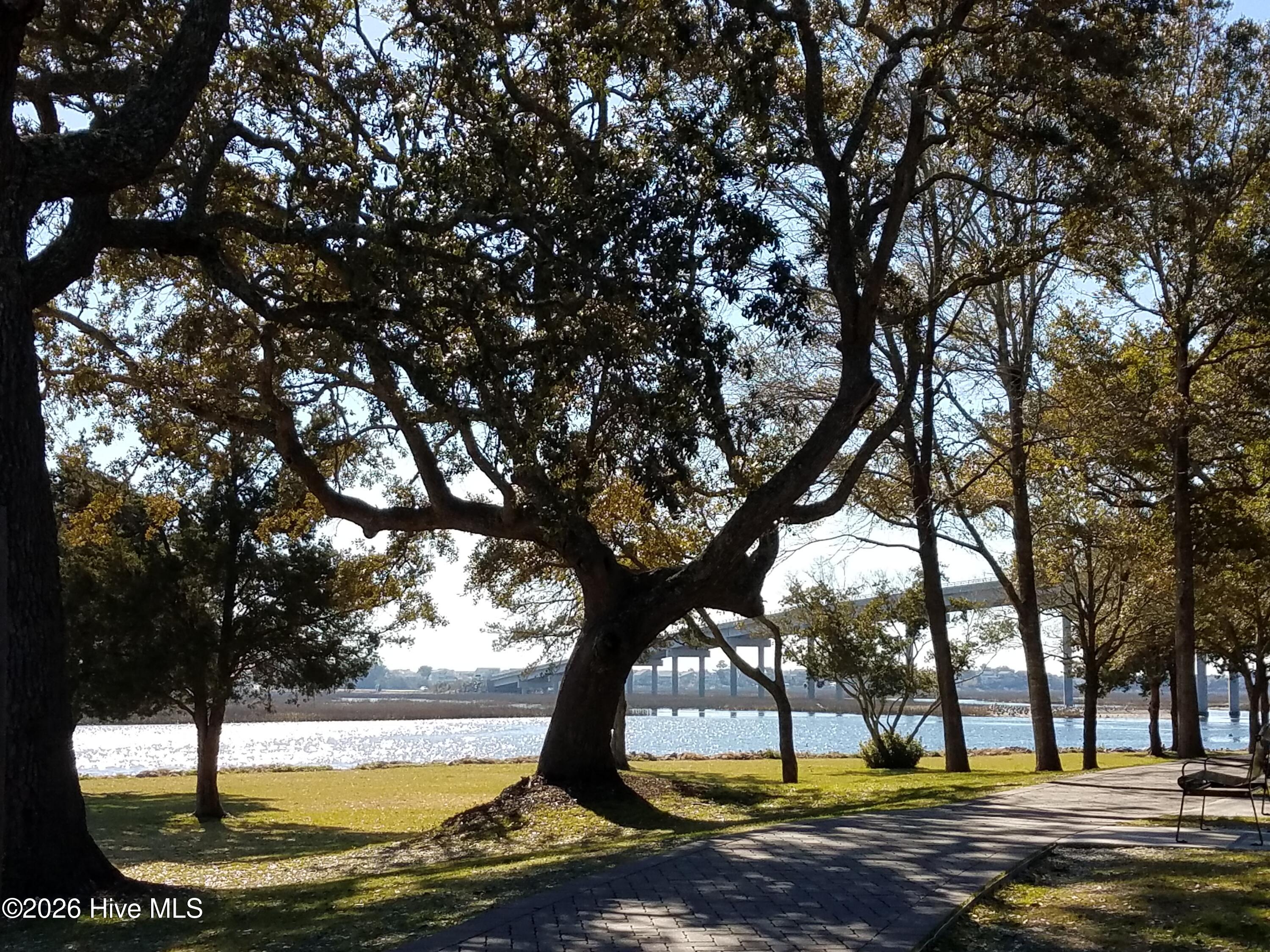 100564948 | Photo 58