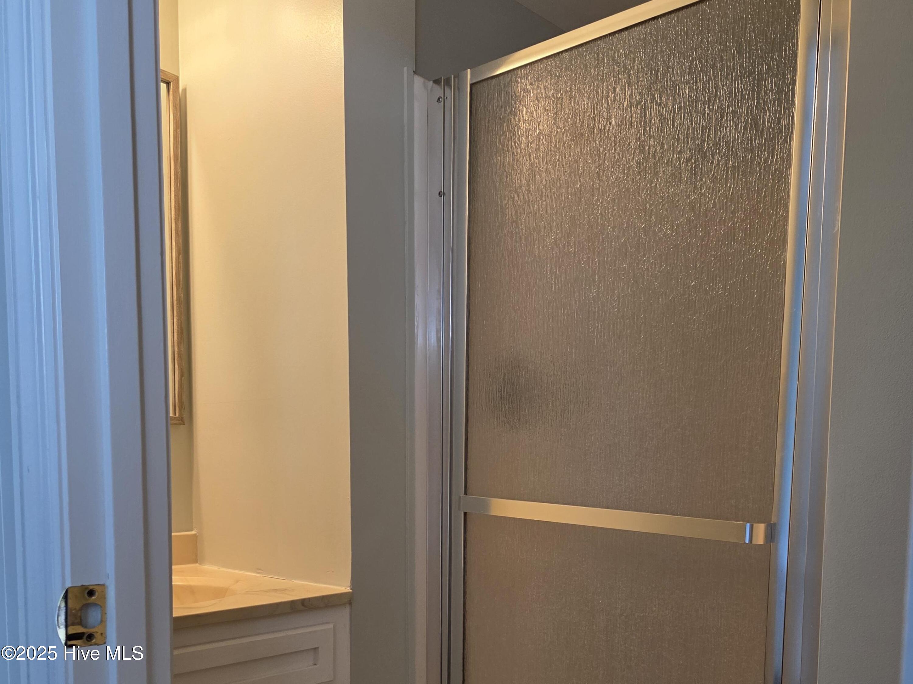primary bath shower (east side)