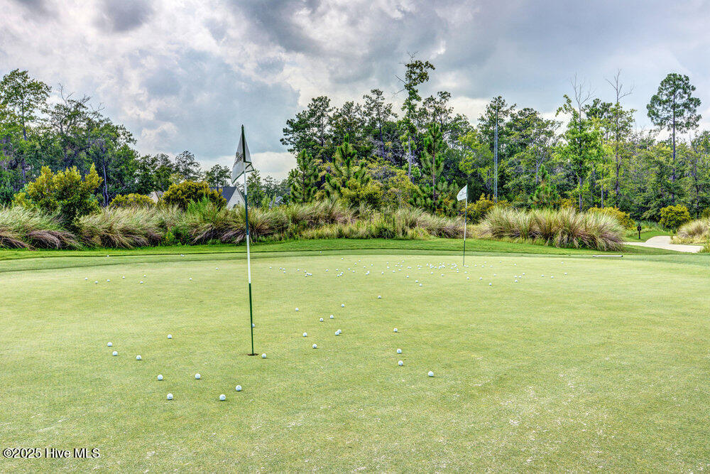 100541621 | Photo 33