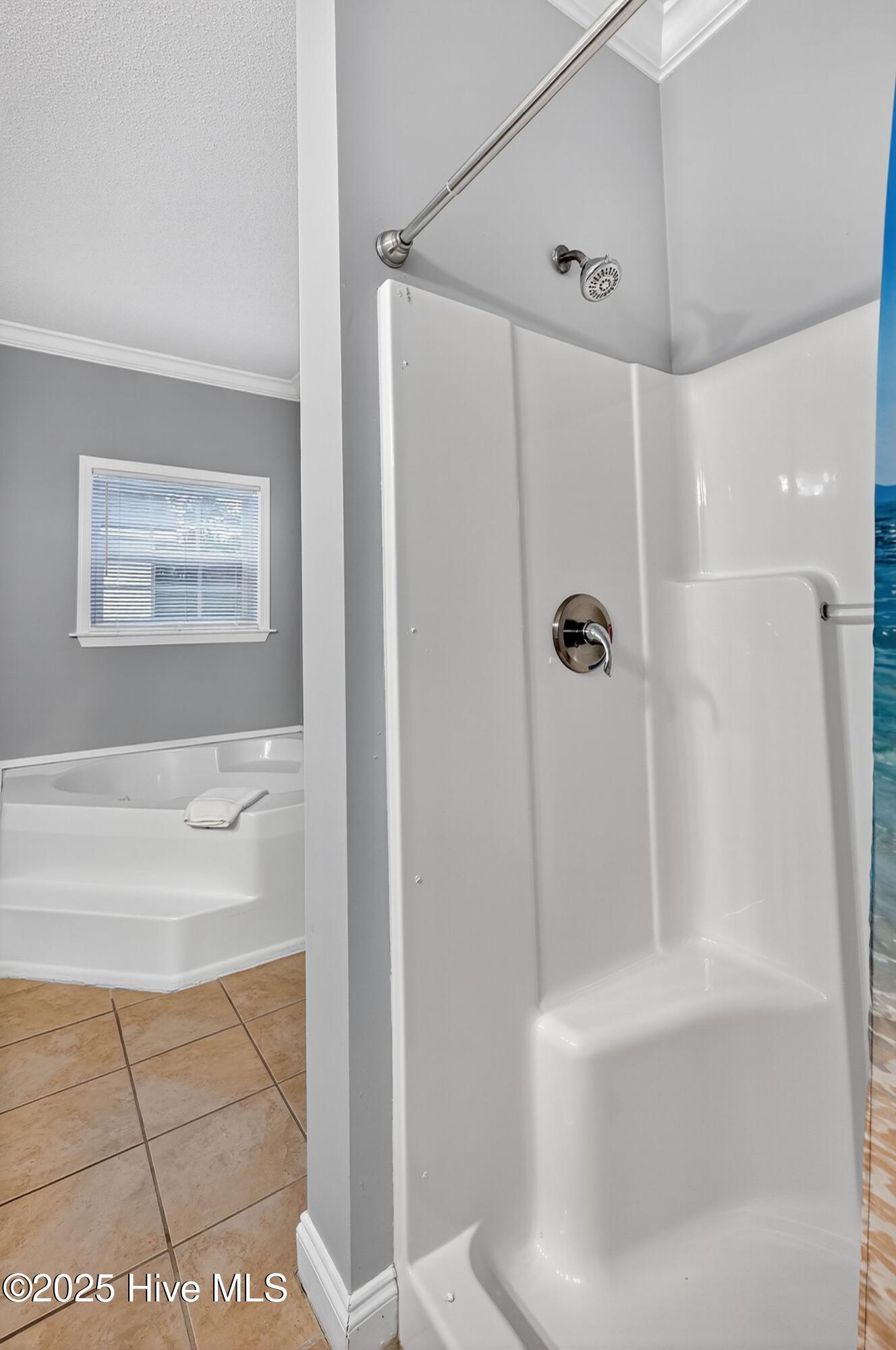 100540046 | Photo 29