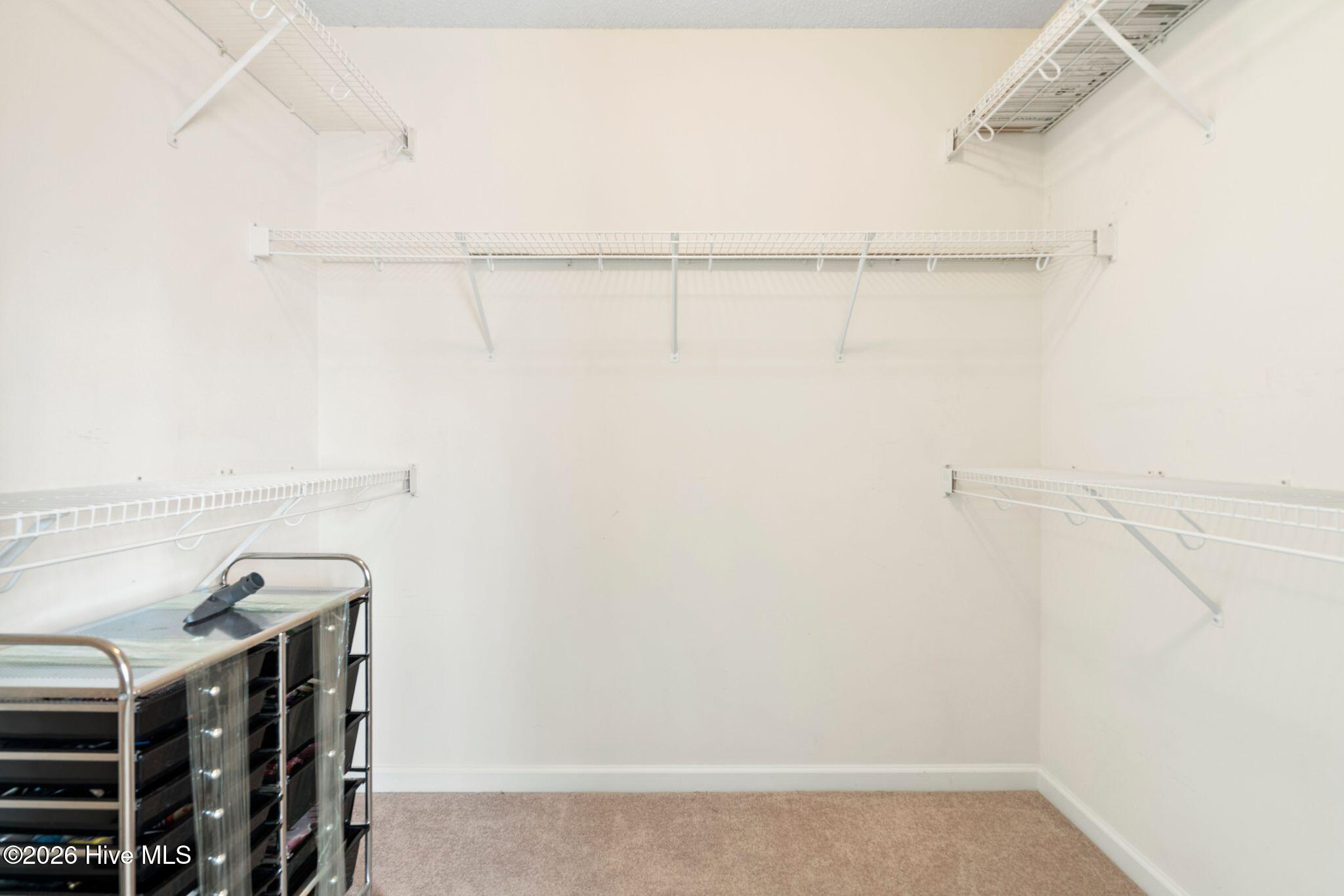 100551615 | Photo 18