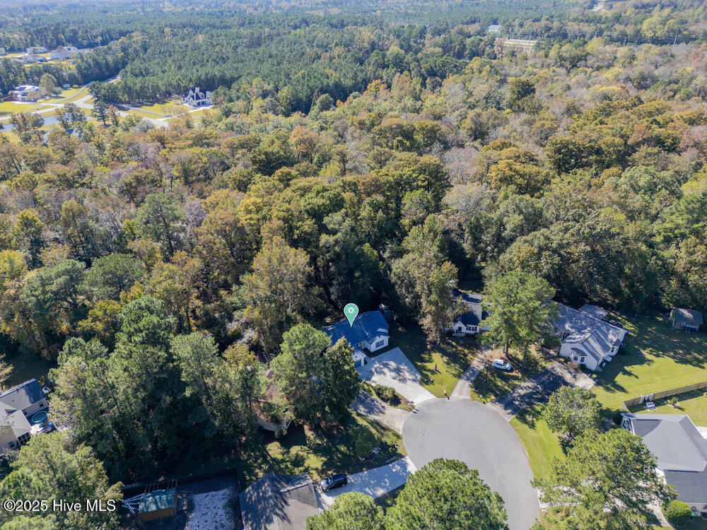 100537257 | Photo 31