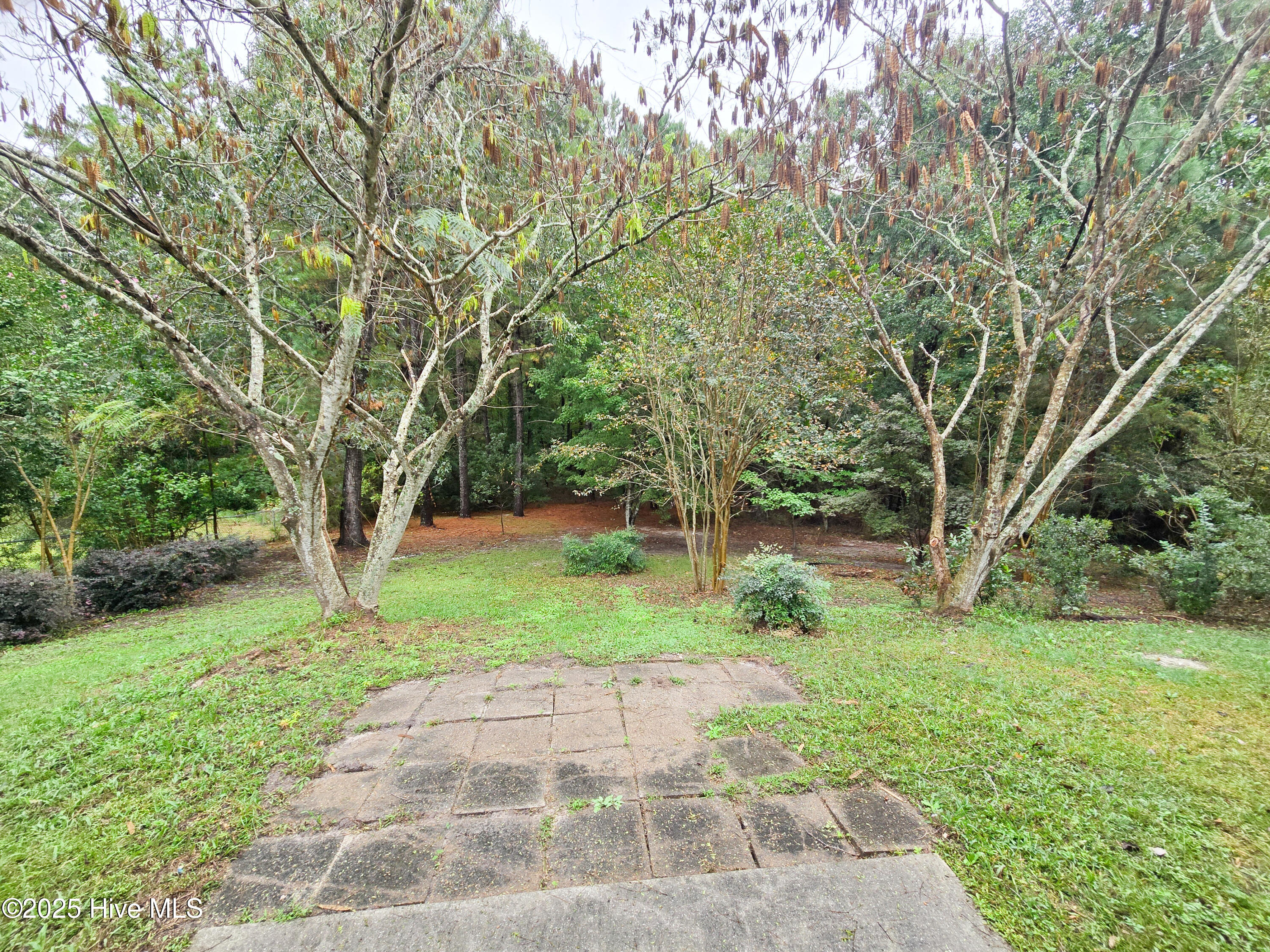 100533714 | Photo 34