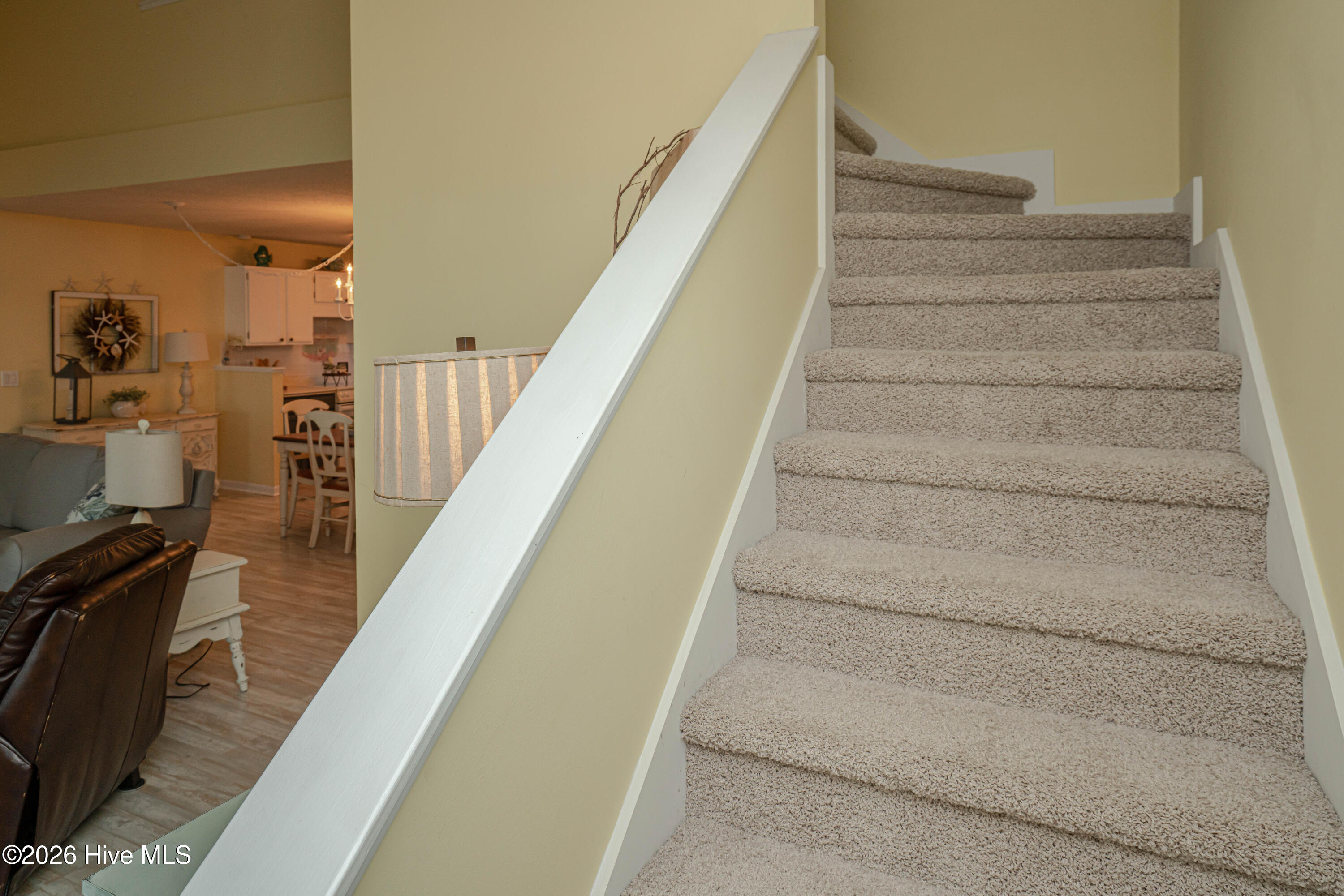 100561840 | Photo 28