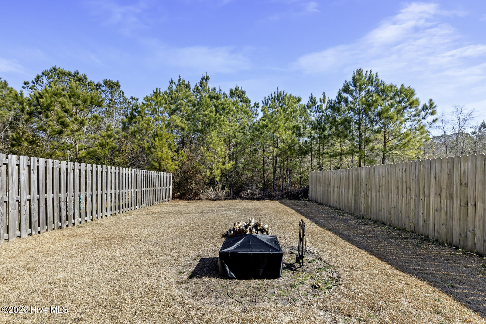 100555334 | Photo 26