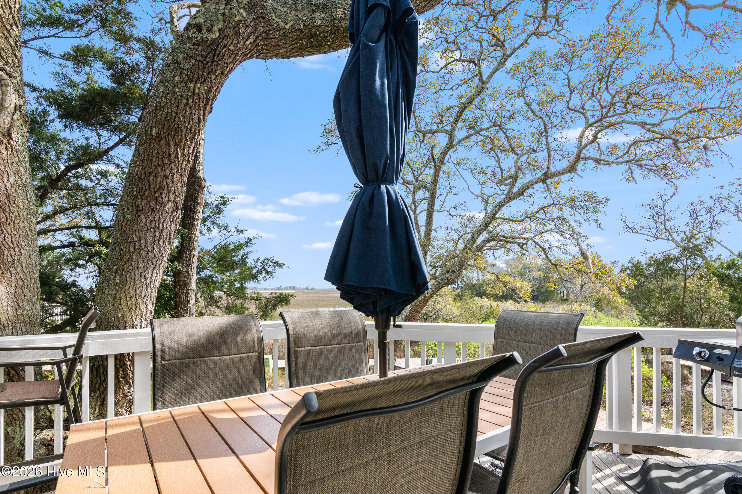 100562499 | Photo 12